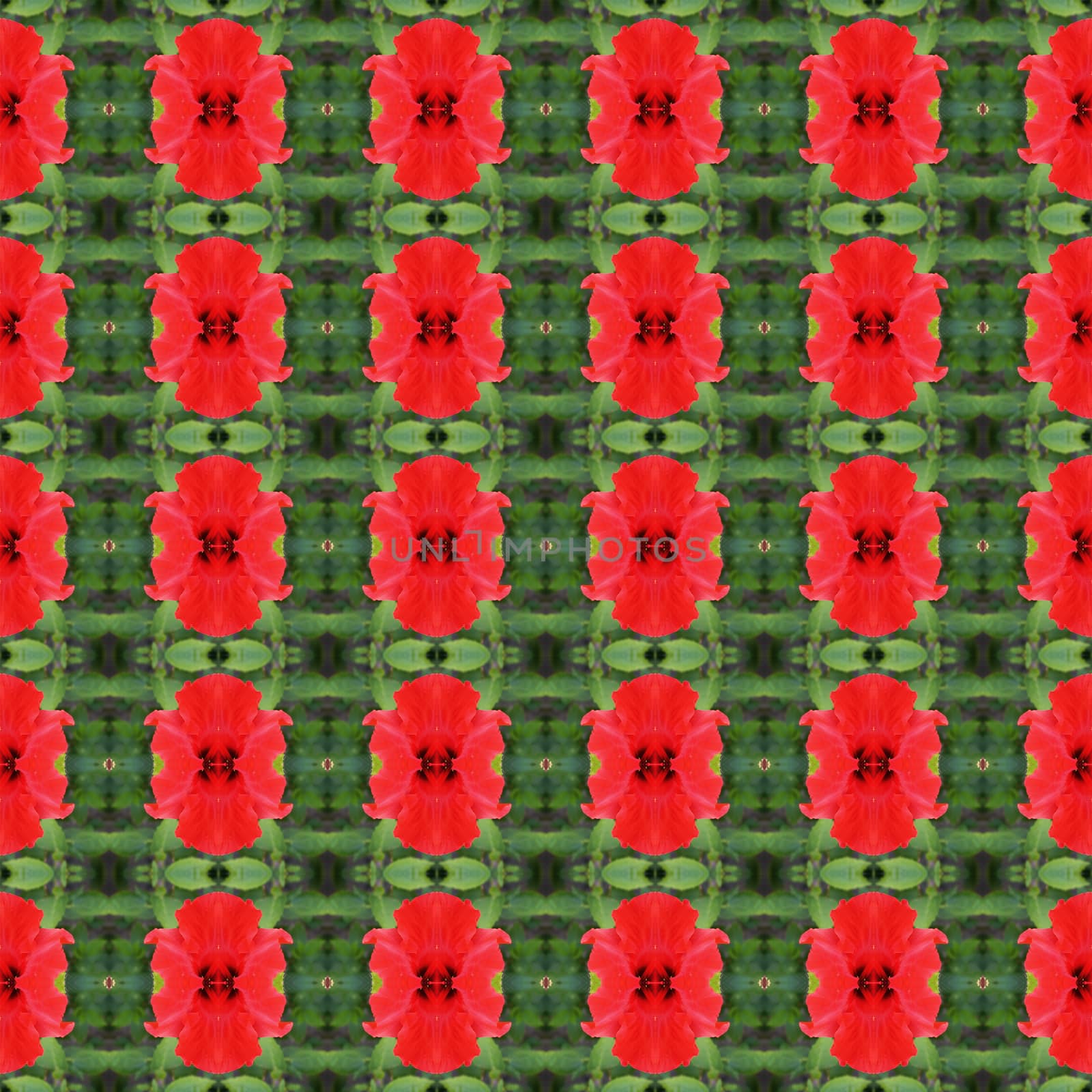 Red hibiscus flower in full bloom seamless use as pattern and wallpaper.