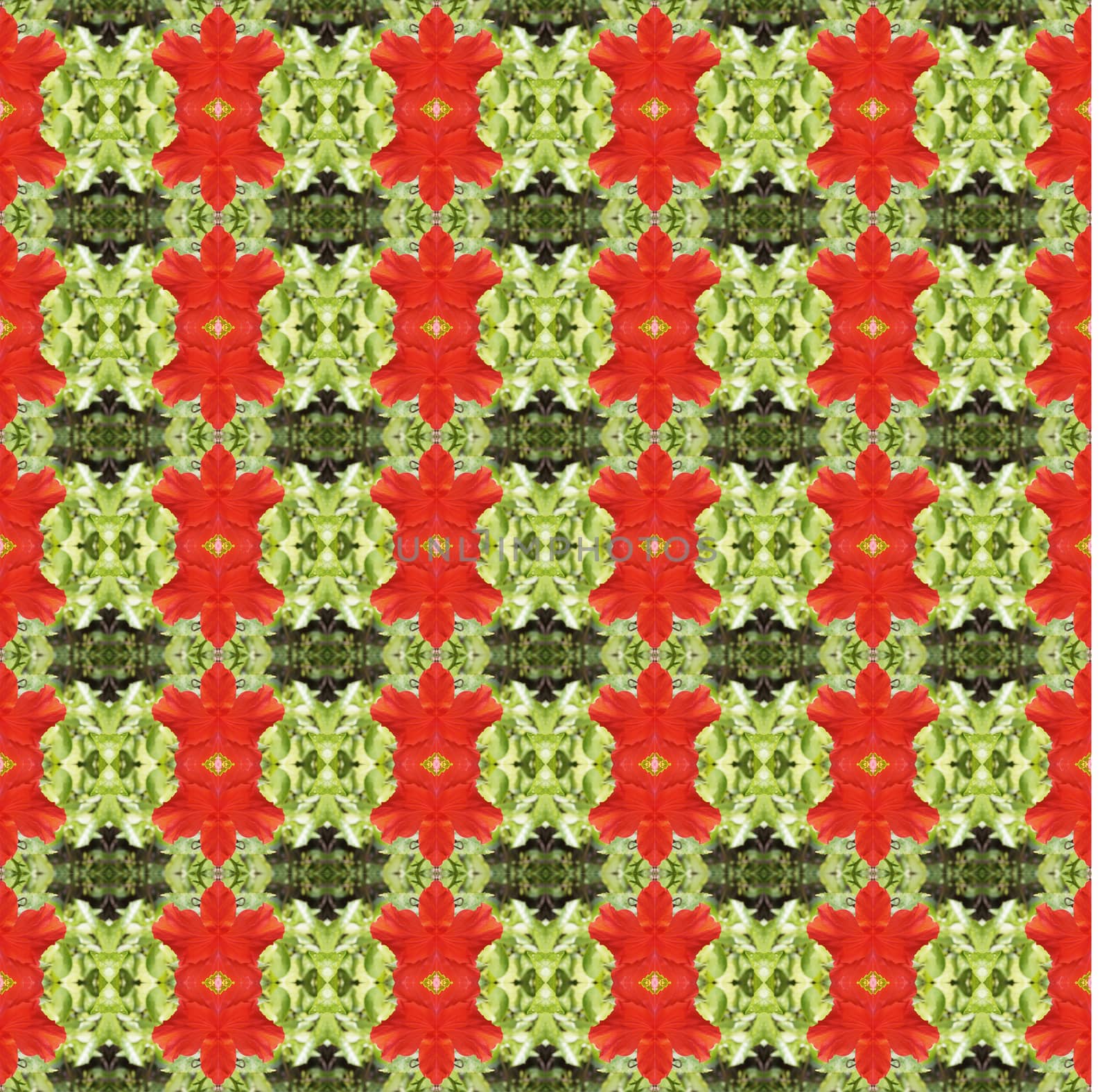 Full bloom of red hibiscus flower seamless use as pattern and wallpaper.