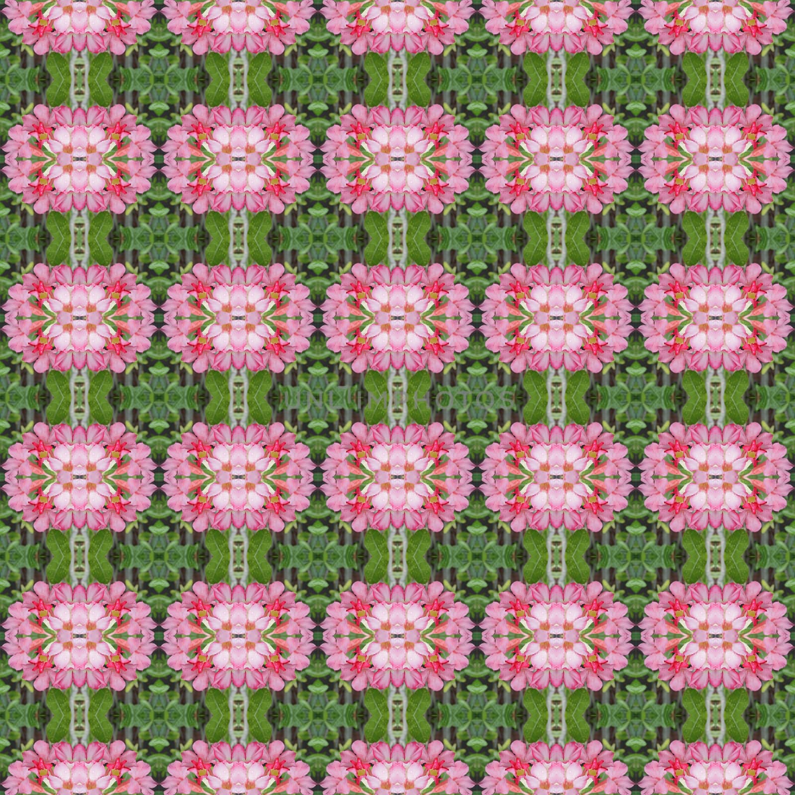 Pentagram flowers, flowers into bushes, 
petals have shades from dark to light seamless use as pattern and wallpaper.