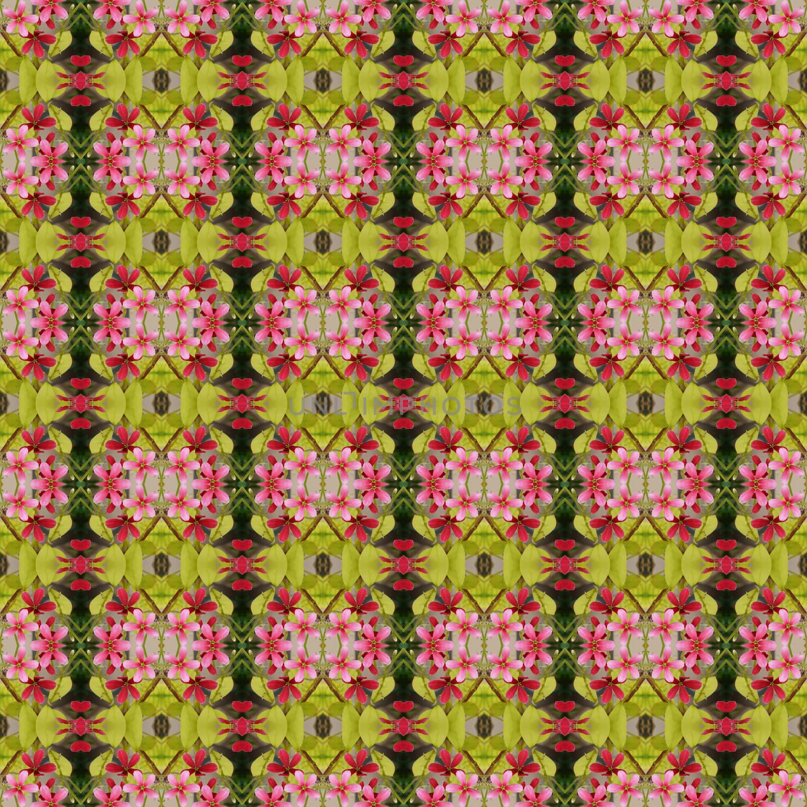 Beautiful of five flower petals bloom on the tree seamless use as pattern and wallpaper.