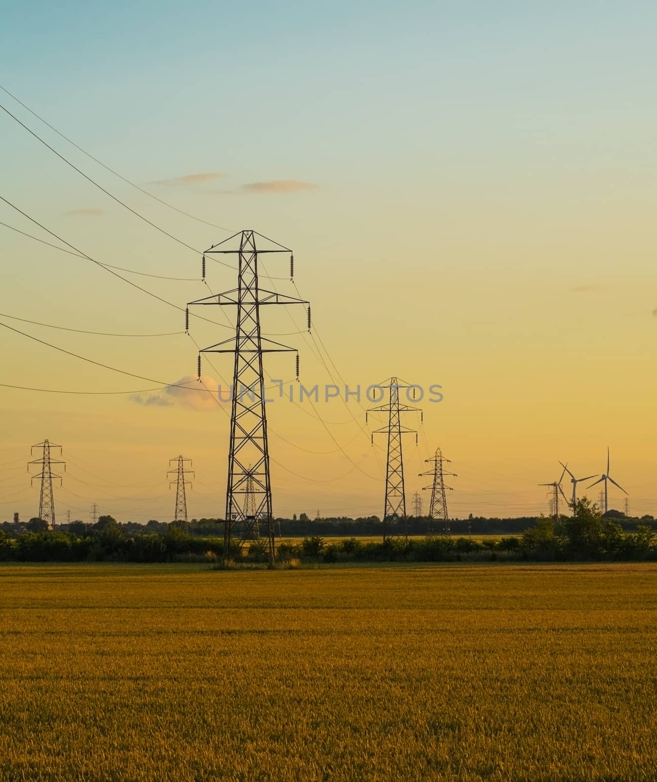 electricity pylons ina field in the early evening