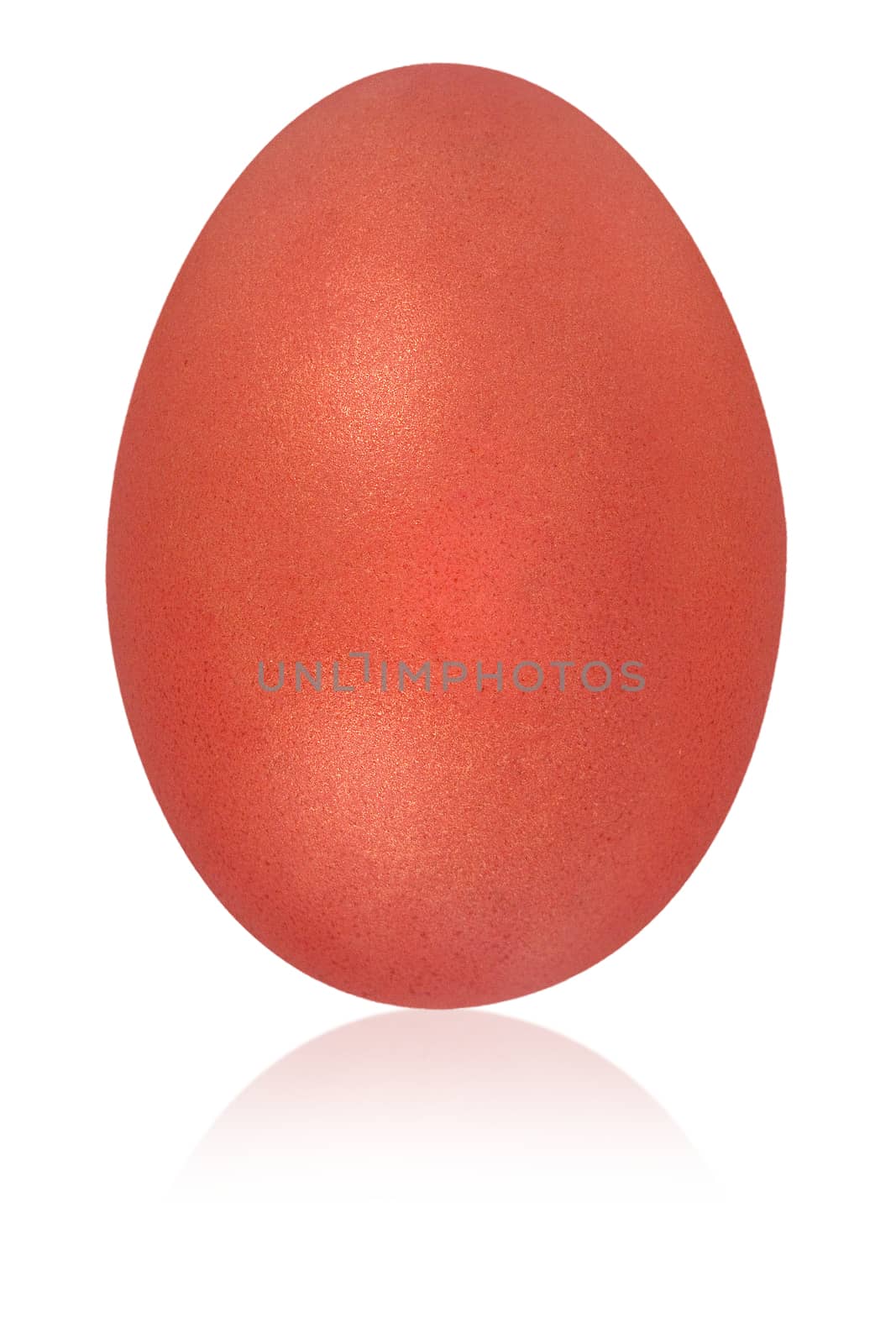 dark coral egg isolated background