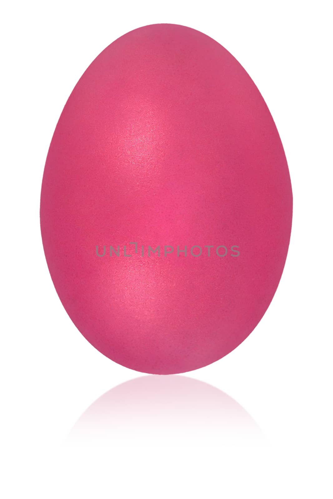 cerise pink egg by fadeinphotography