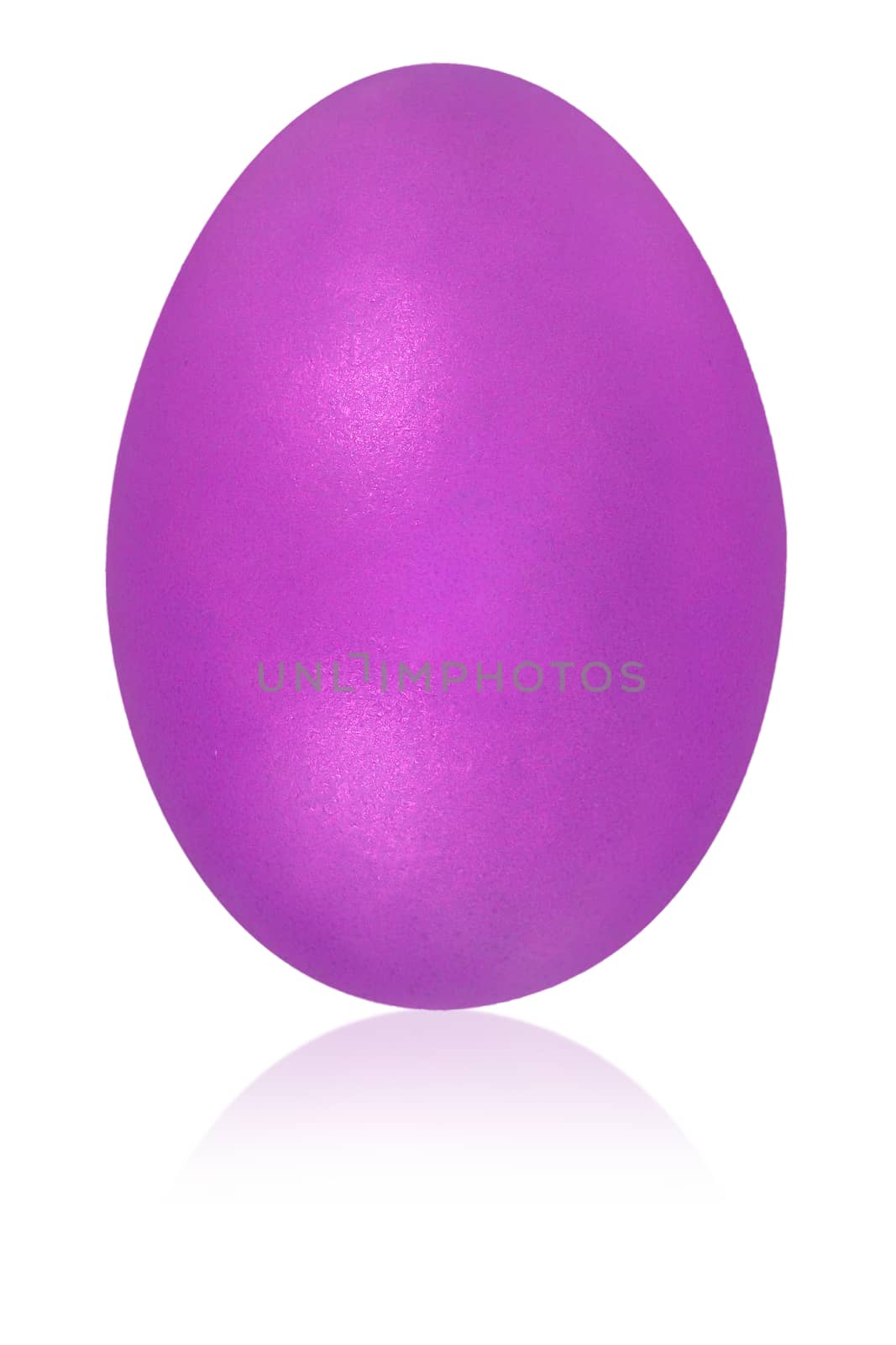 violet egg isolated background