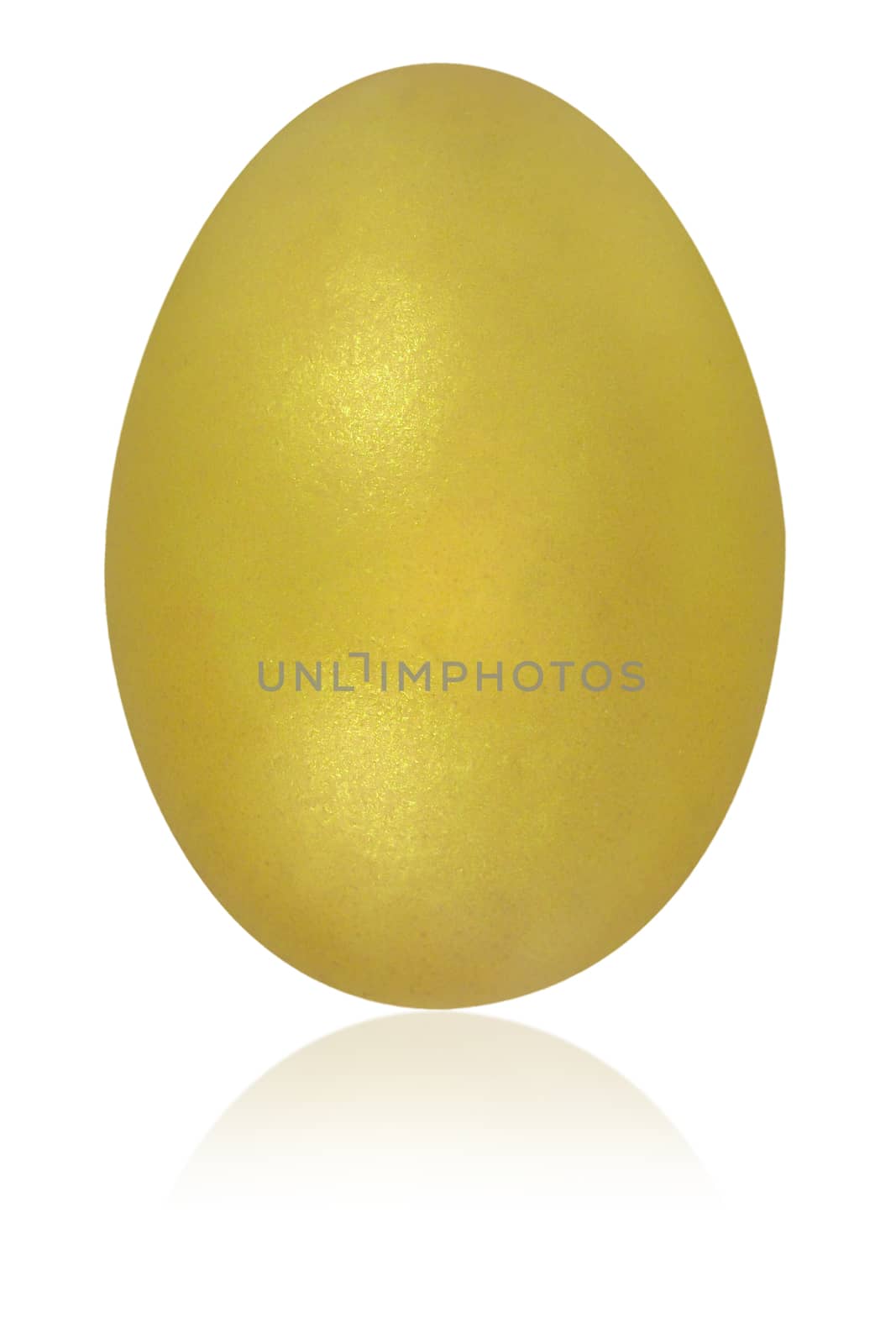 mustard egg isolated background