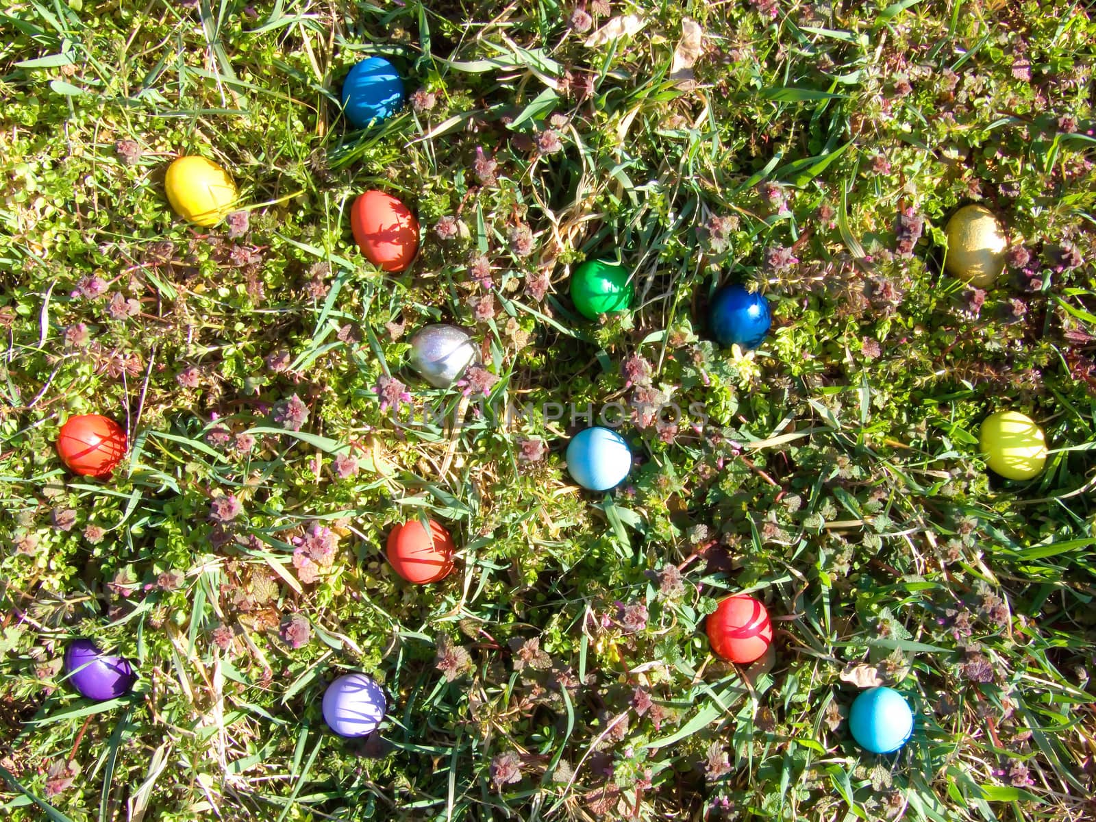 easter eggs outdoor in meadow