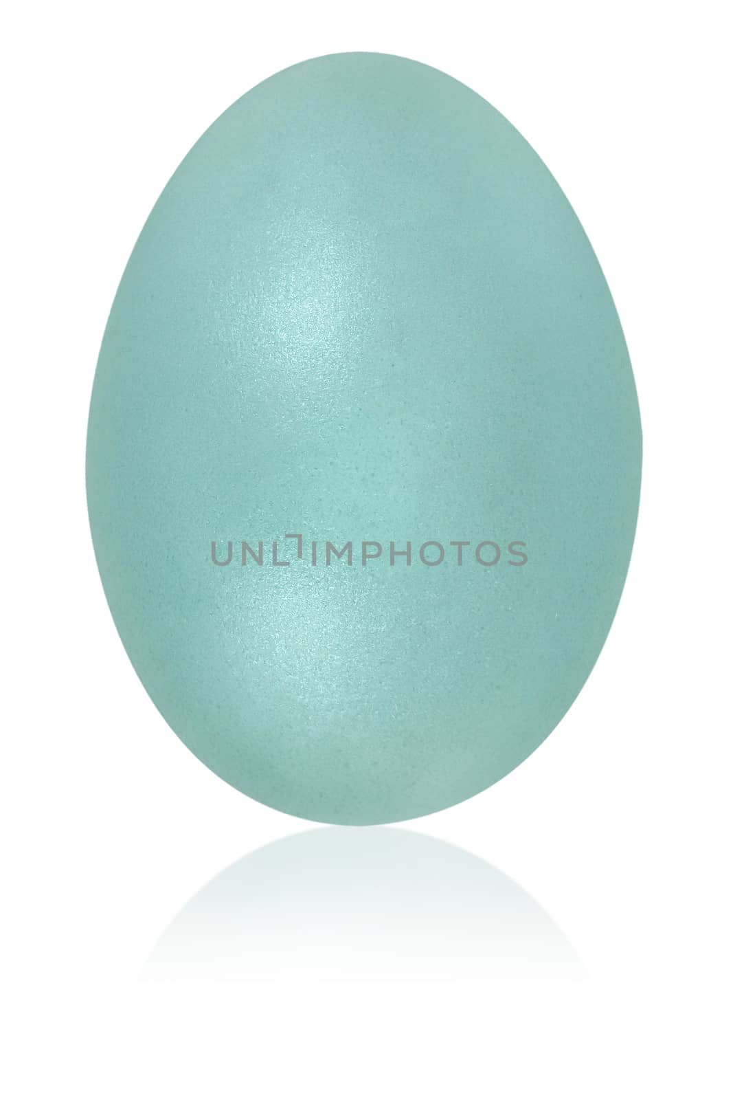 powder blue egg by fadeinphotography