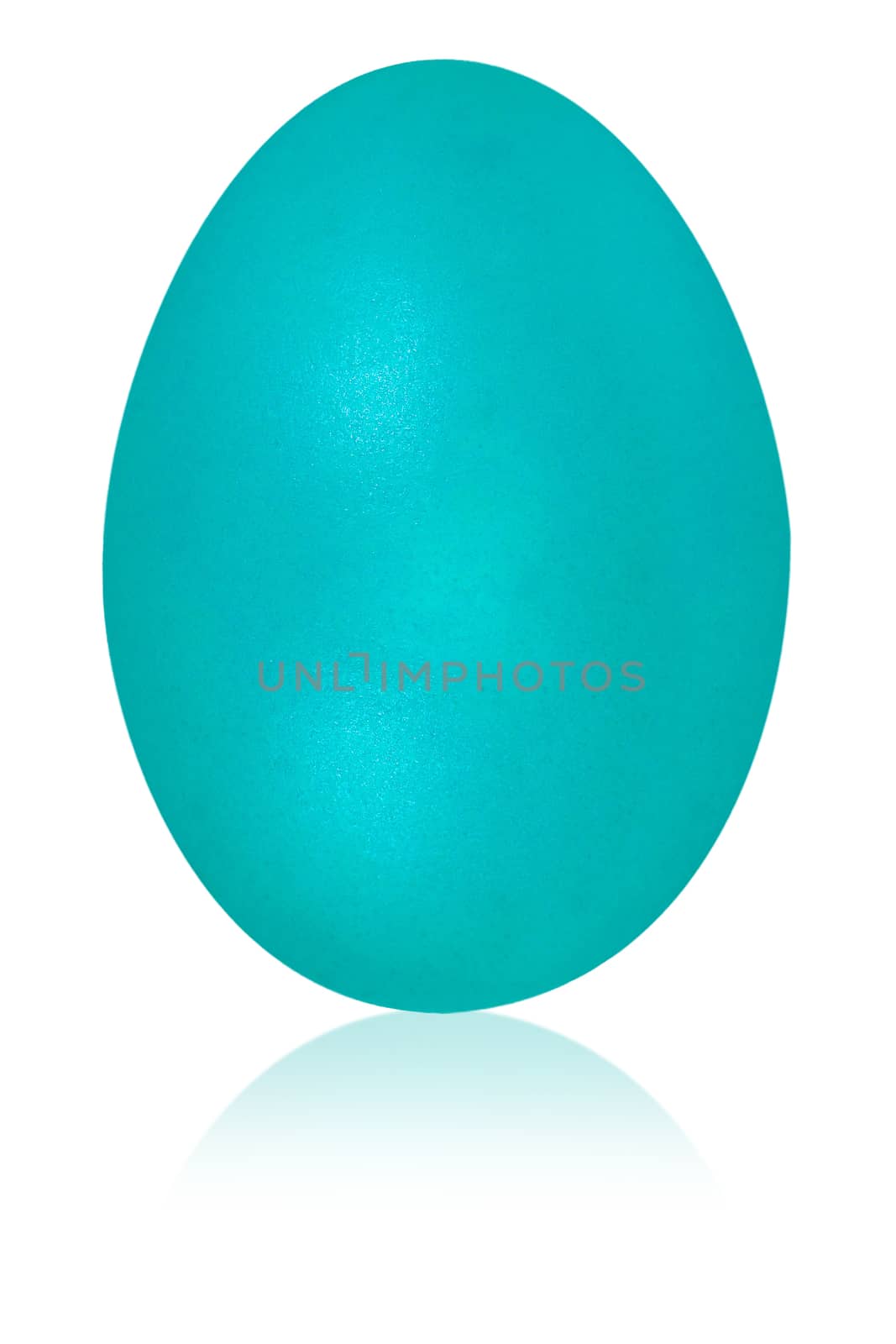 bright  turquoise blue egg isolated background