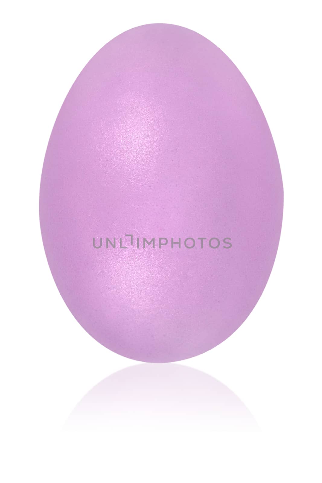 plum egg isolated background