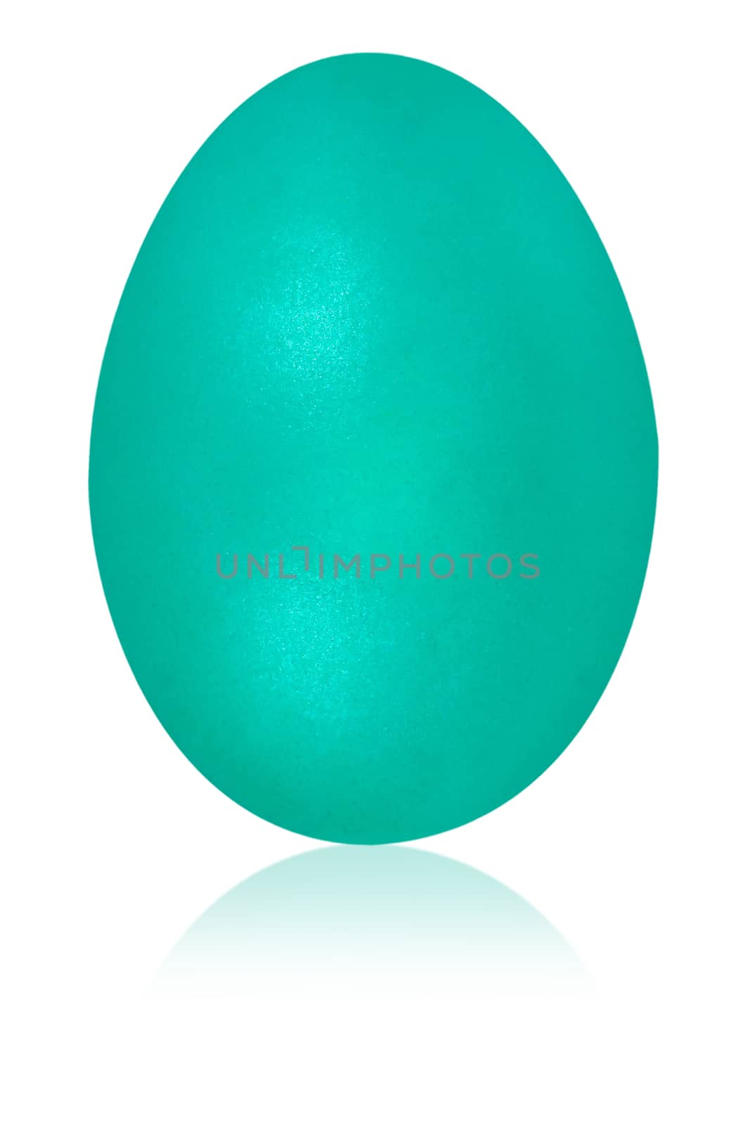 medium aquamarine egg isolated background