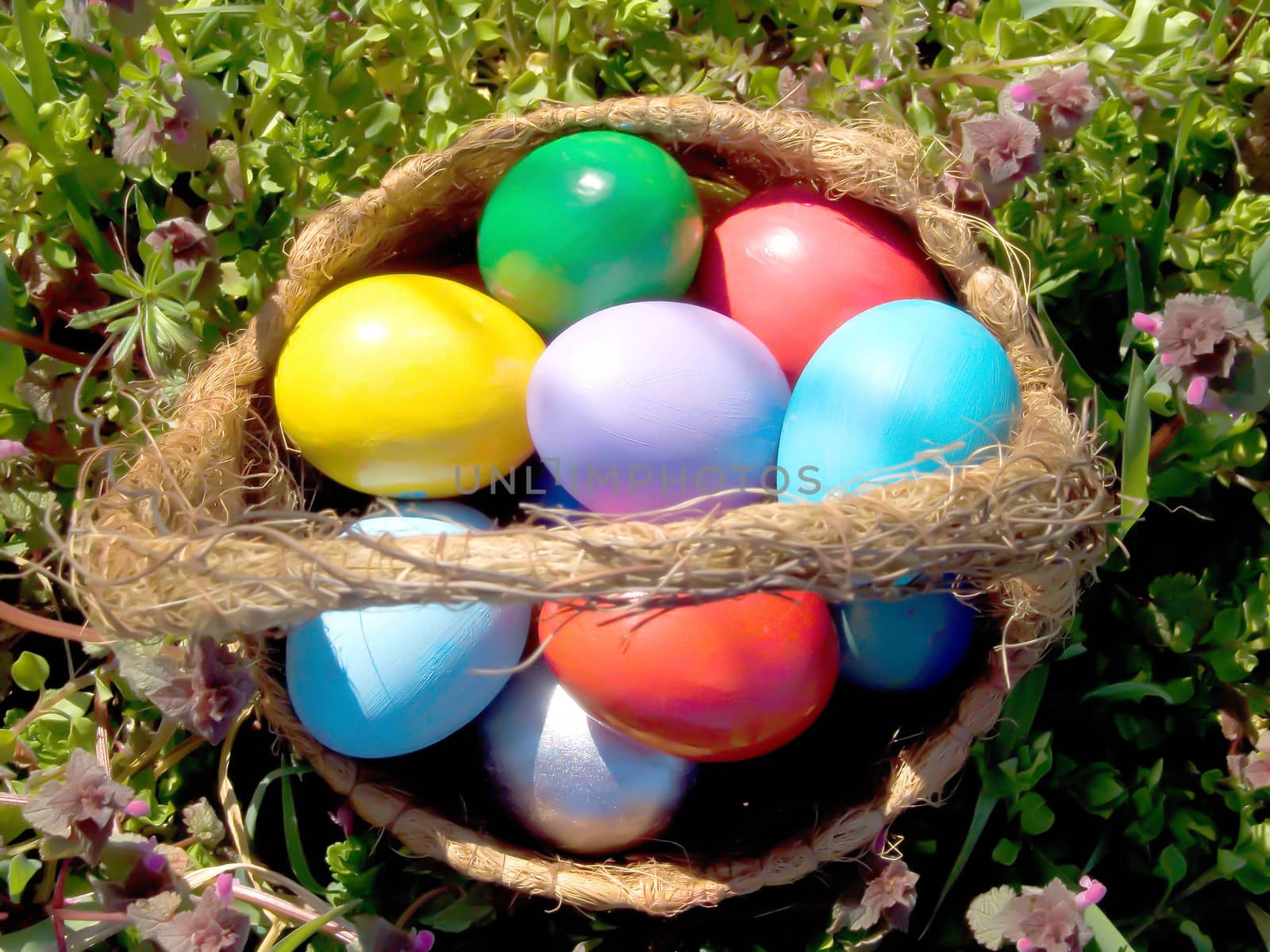 easter egg outdoor in basket in meadow