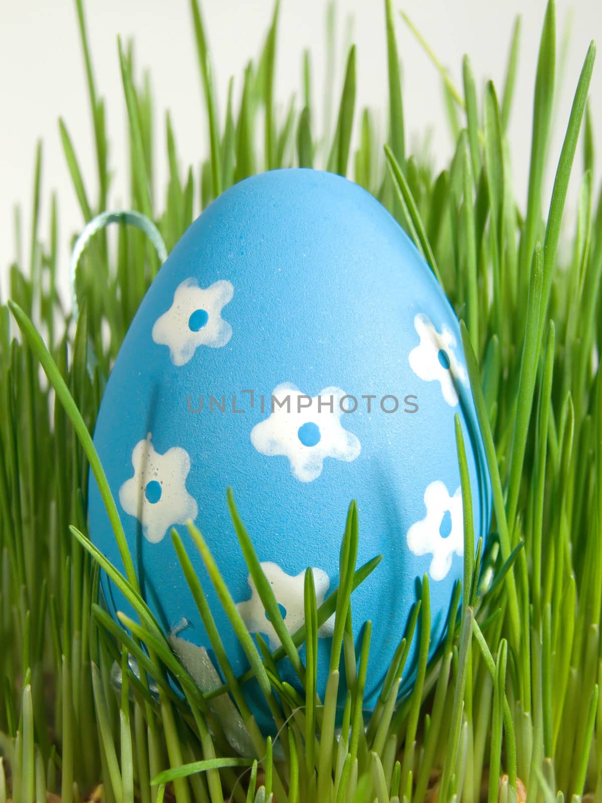 easter egg with white painted flowers