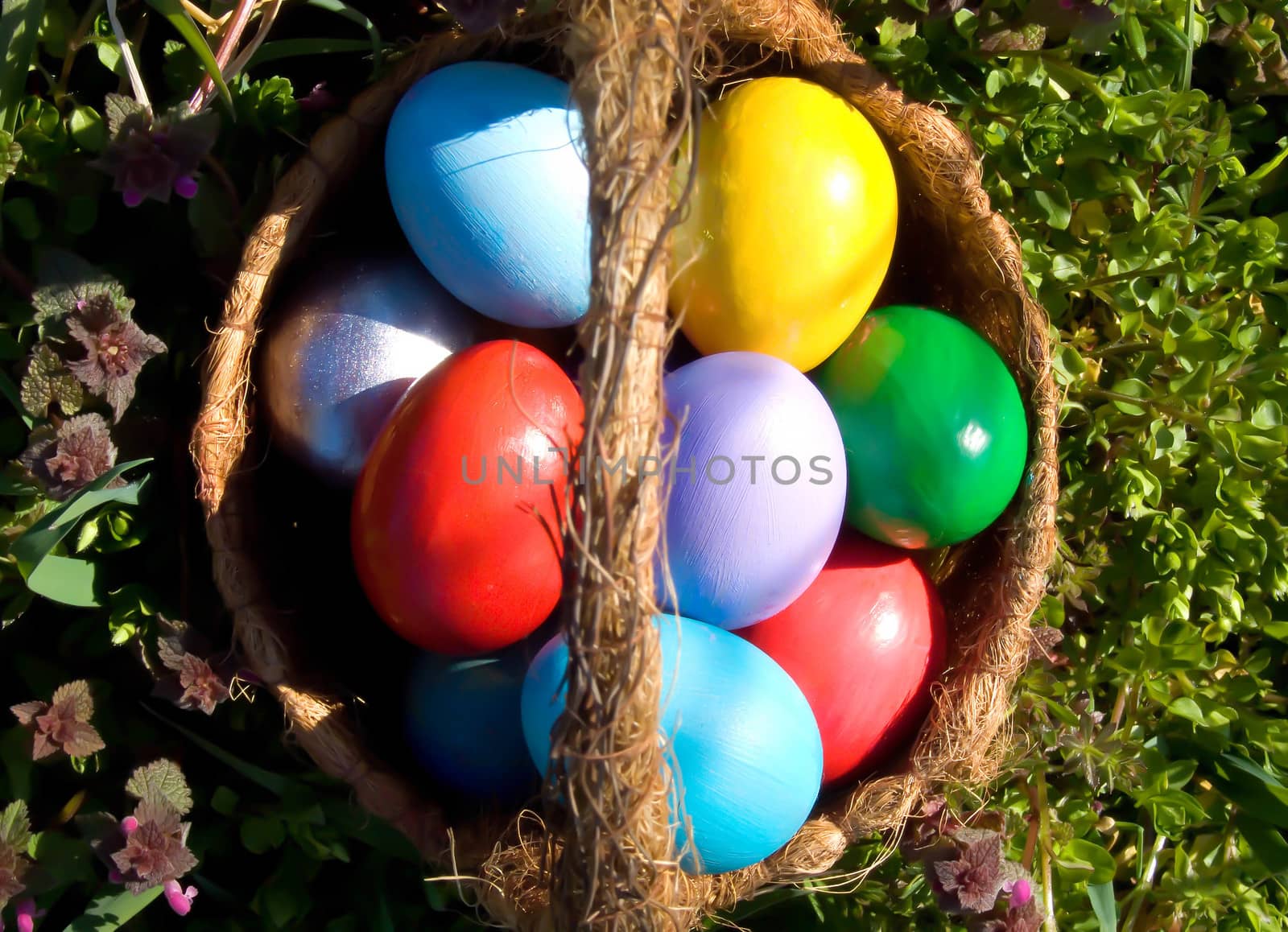 easter egg outdoor in basket in meadow