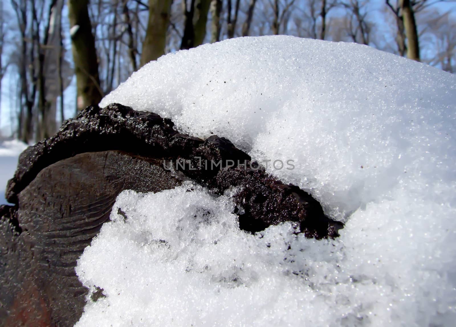 snow on wood by fadeinphotography