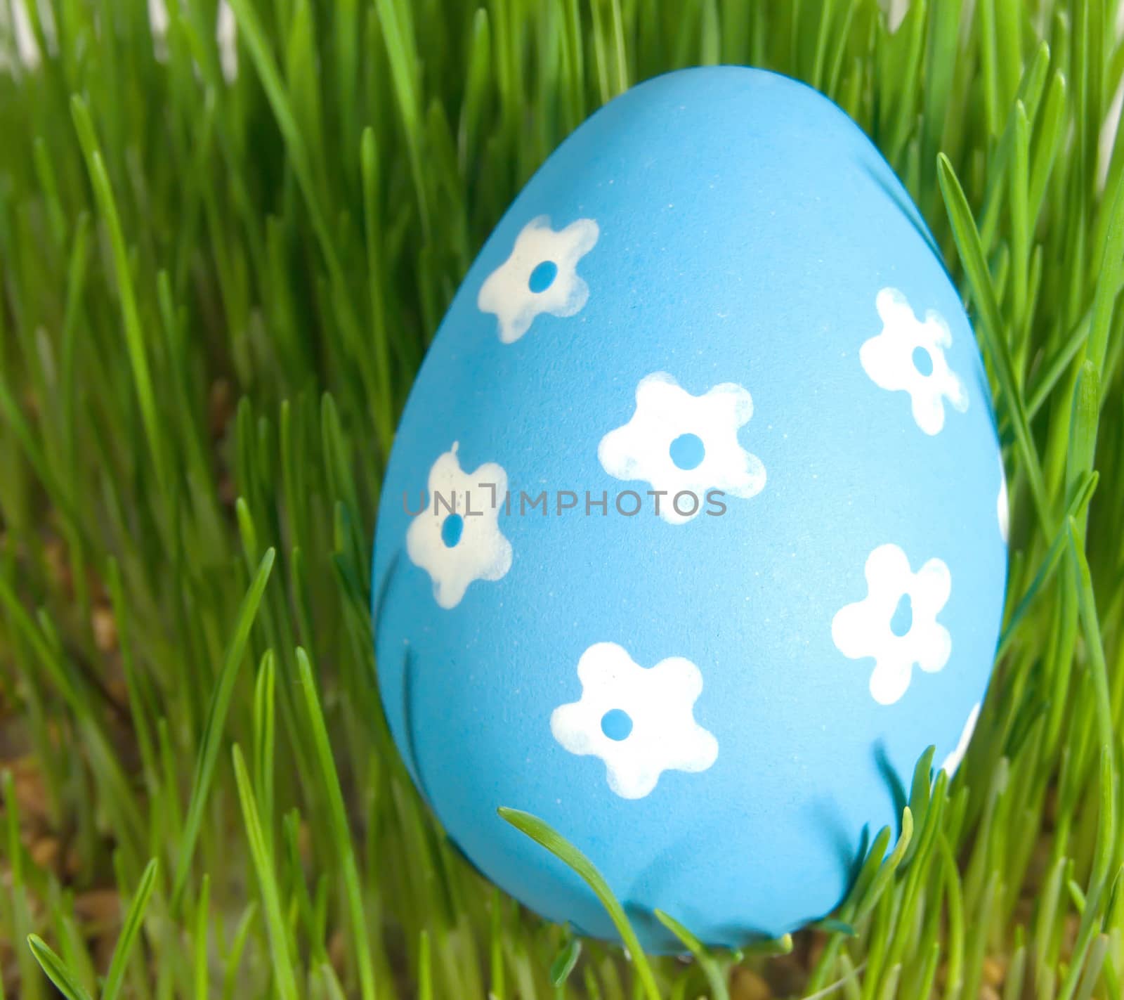 easter egg with white painted flowers