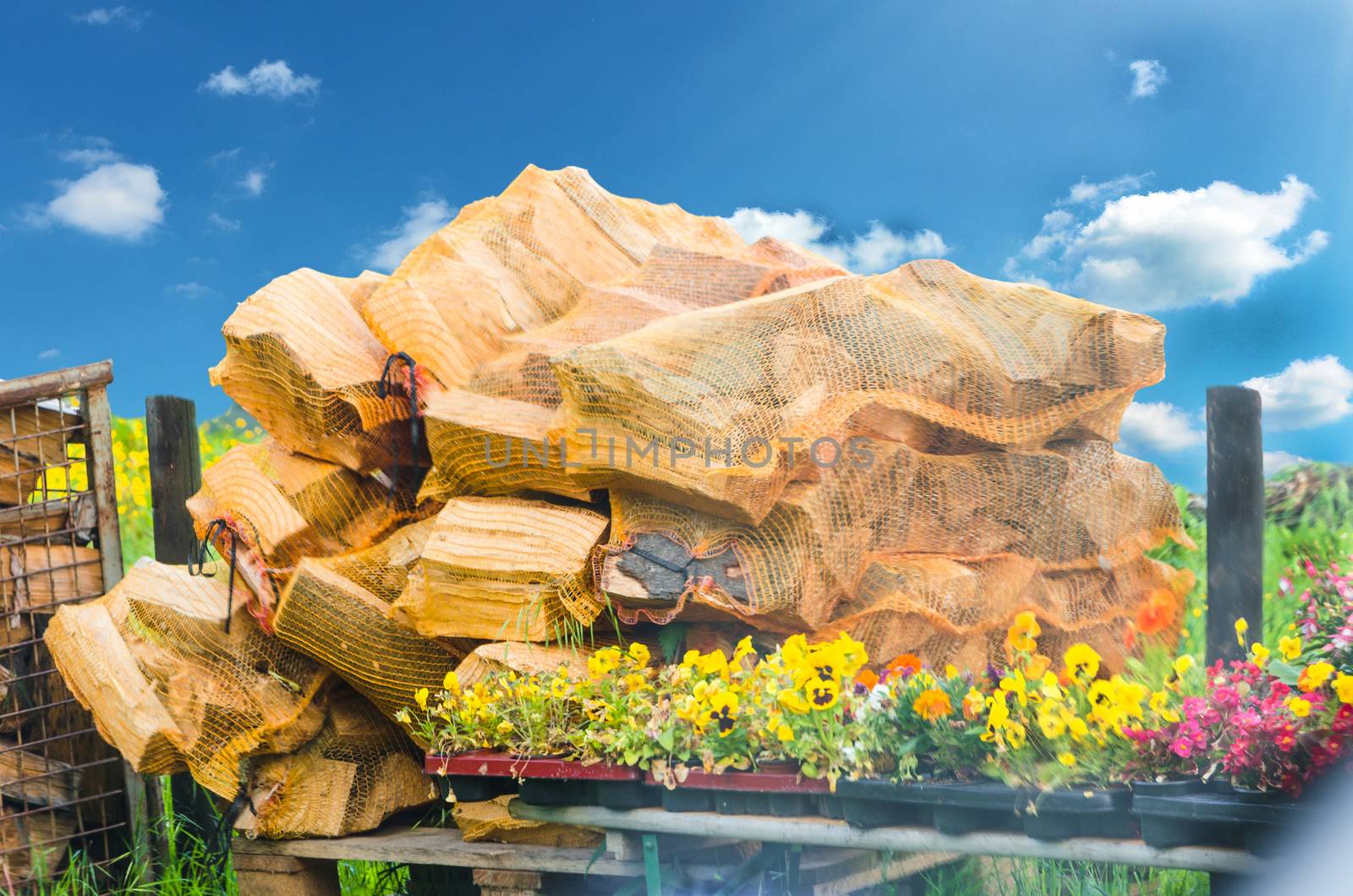 Stack of chopped Fireplace Firewood for the burning in a fireplace.