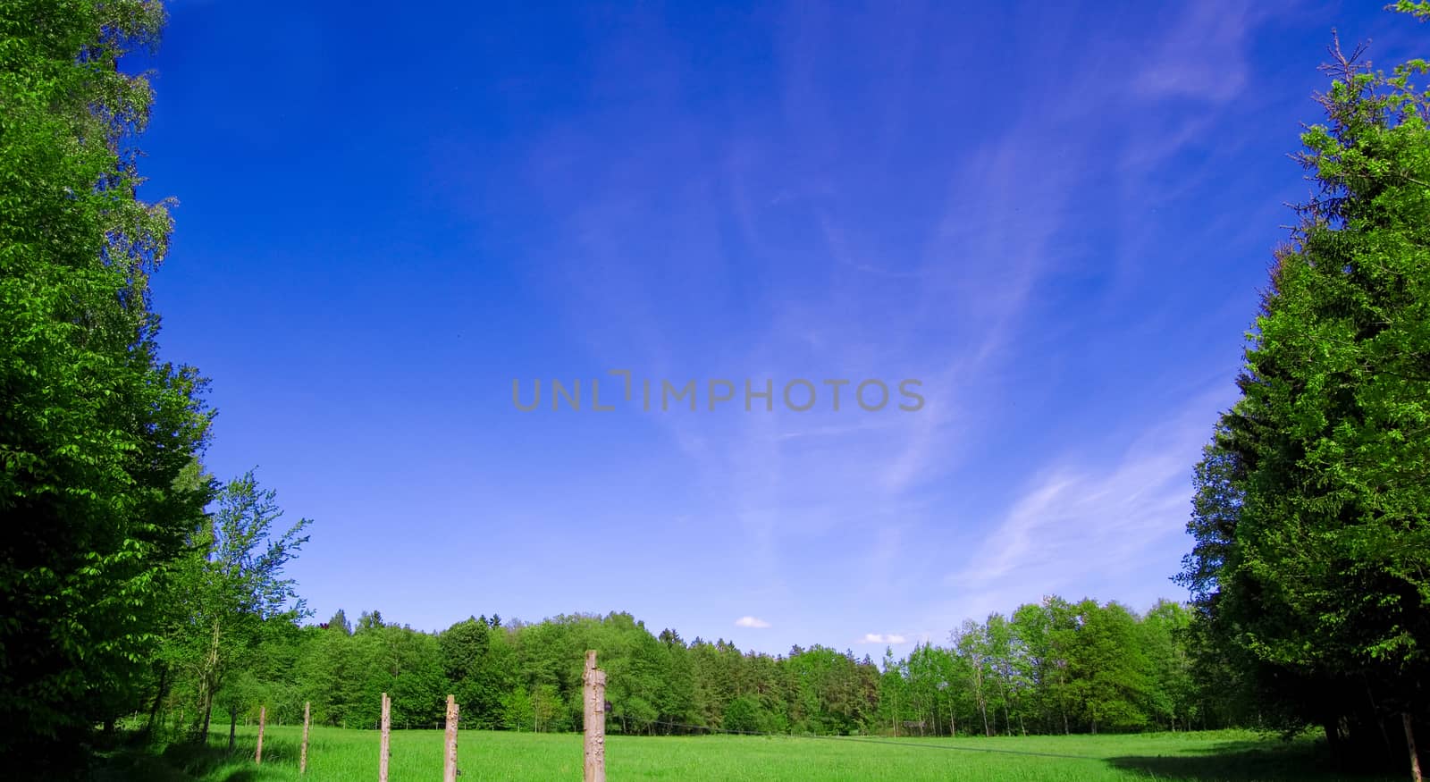 Field and forest conceptual image. by satariel