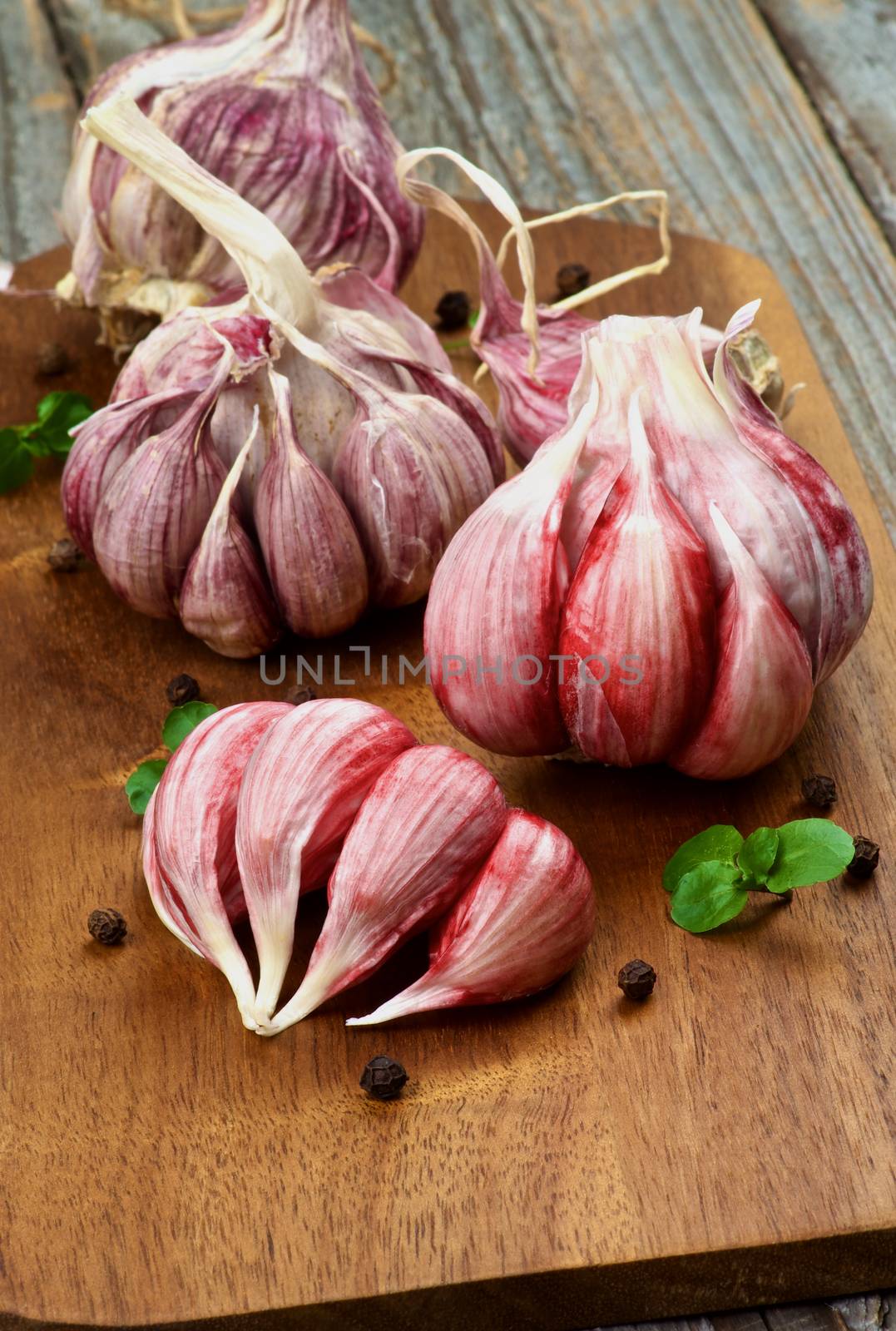 Pink Garlic by zhekos