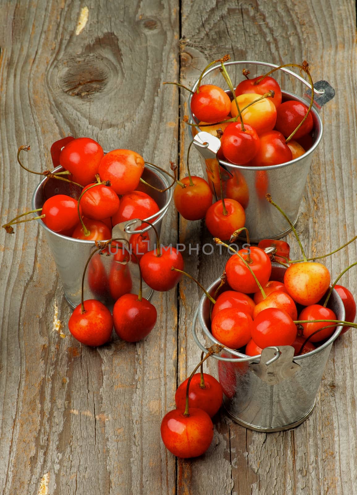 Sweet Maraschino Cherries by zhekos