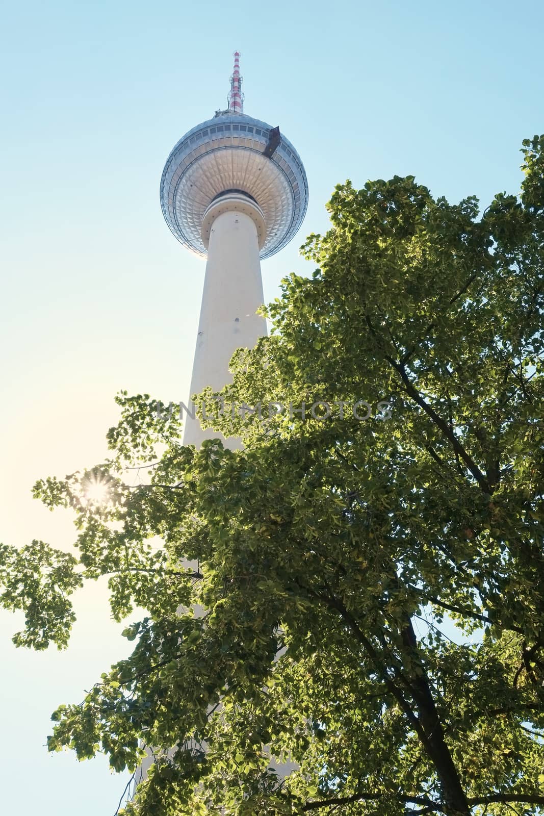 BERLIN, GERMANY - JULY 07: Low angle shot of TV tower in Alexanderplatz, with tree branches in the foreground. July 07, 2015 in Berlin.
