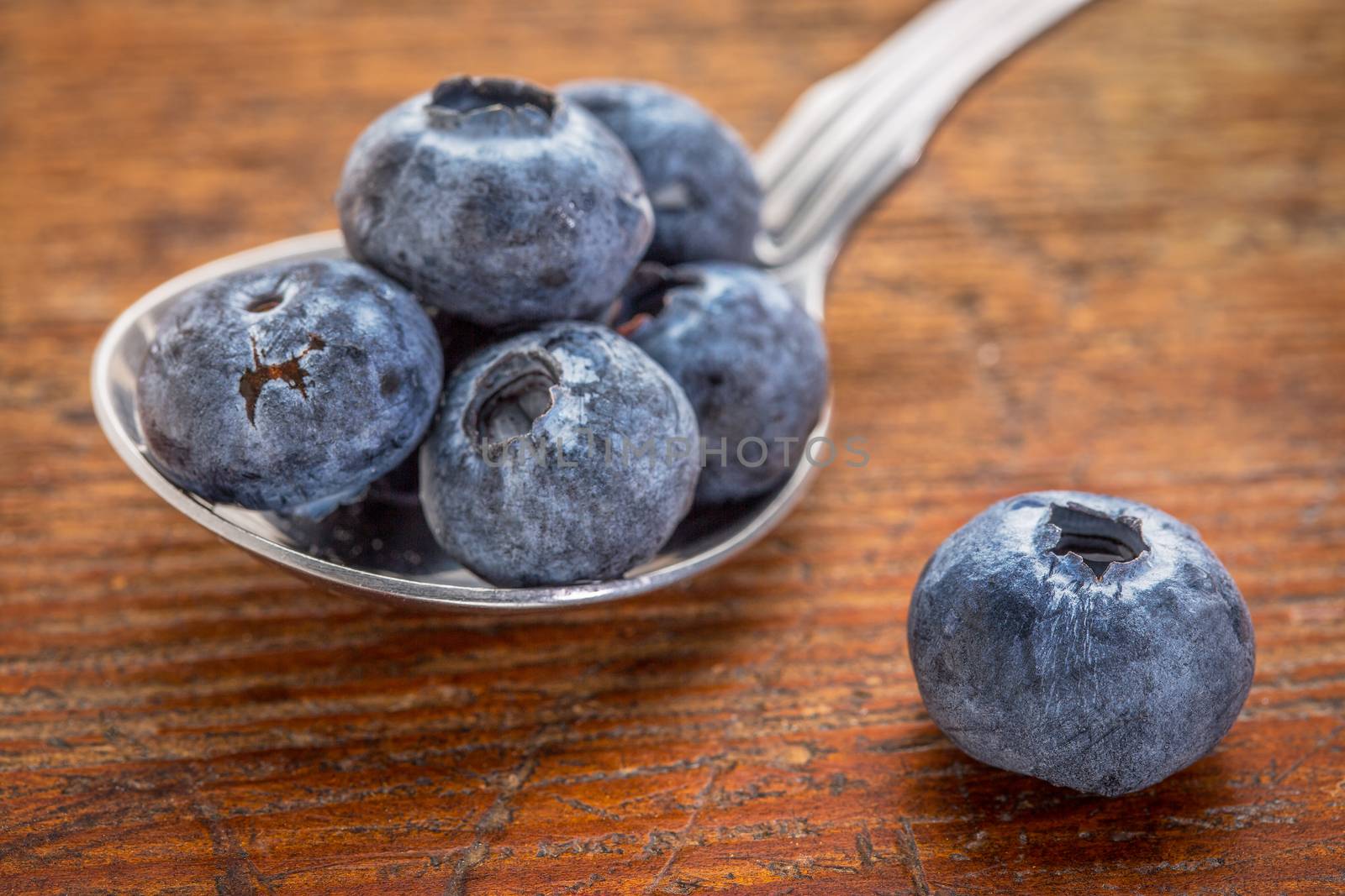 fresh blueberries on a tablespoon against rustic wood