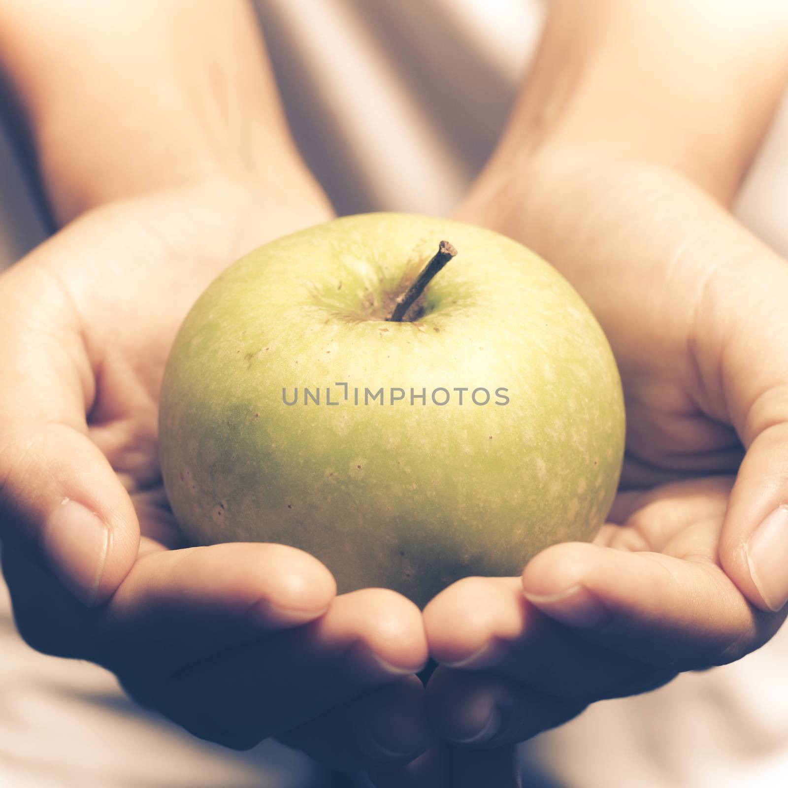 woman hand holding green apple fruit vintage style