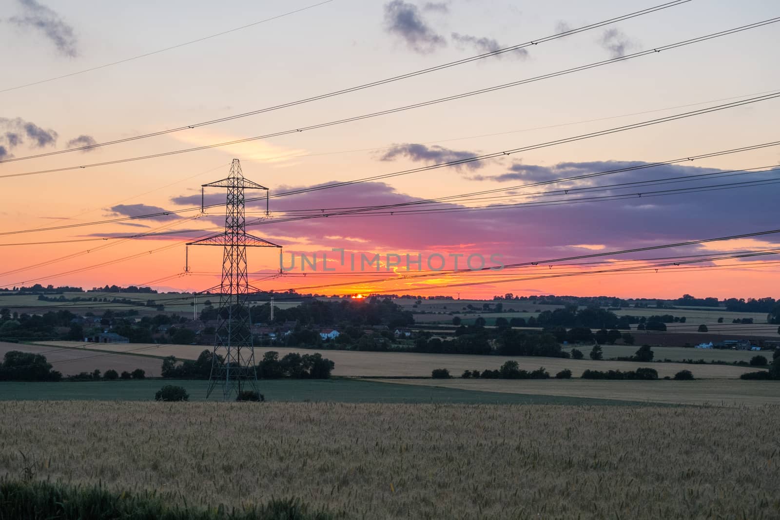 sunset shot of electricity pylon in field with multiple power lines