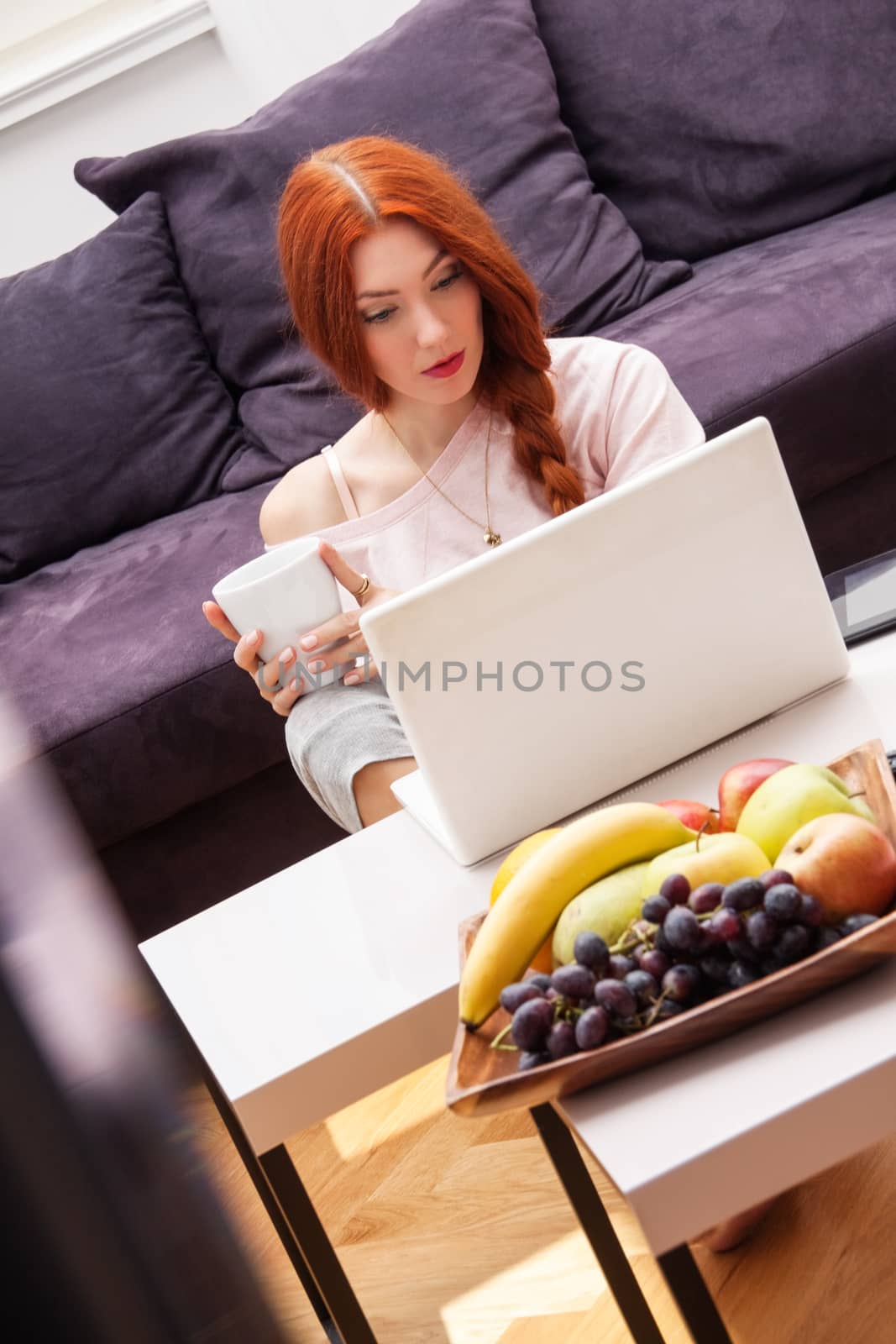 Young Woman Using Laptop In the Living Room by juniart