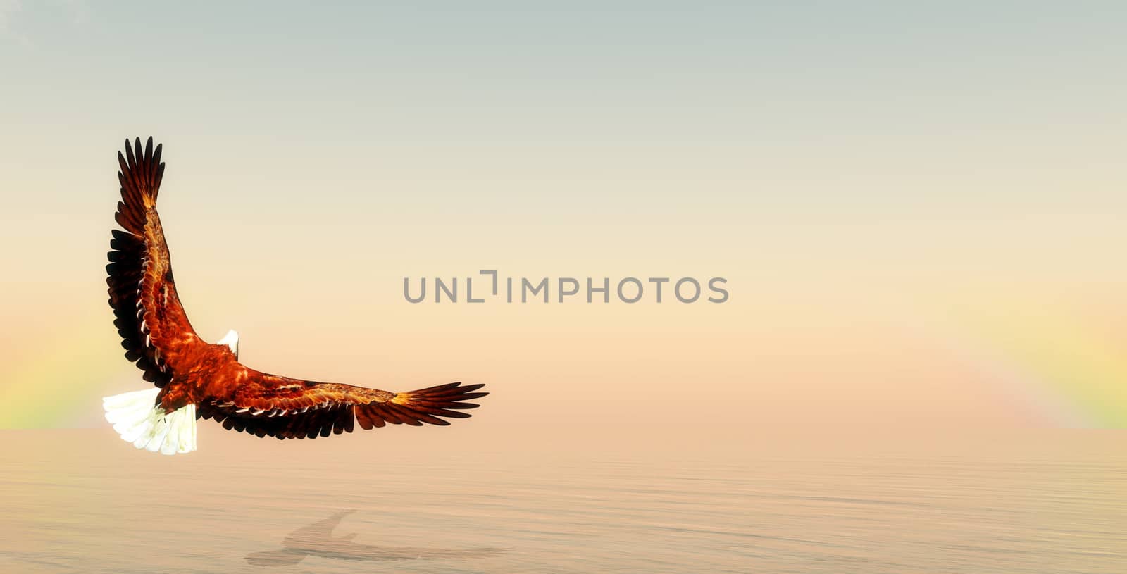 Eagle flying upon ocean by morning light - 3D render