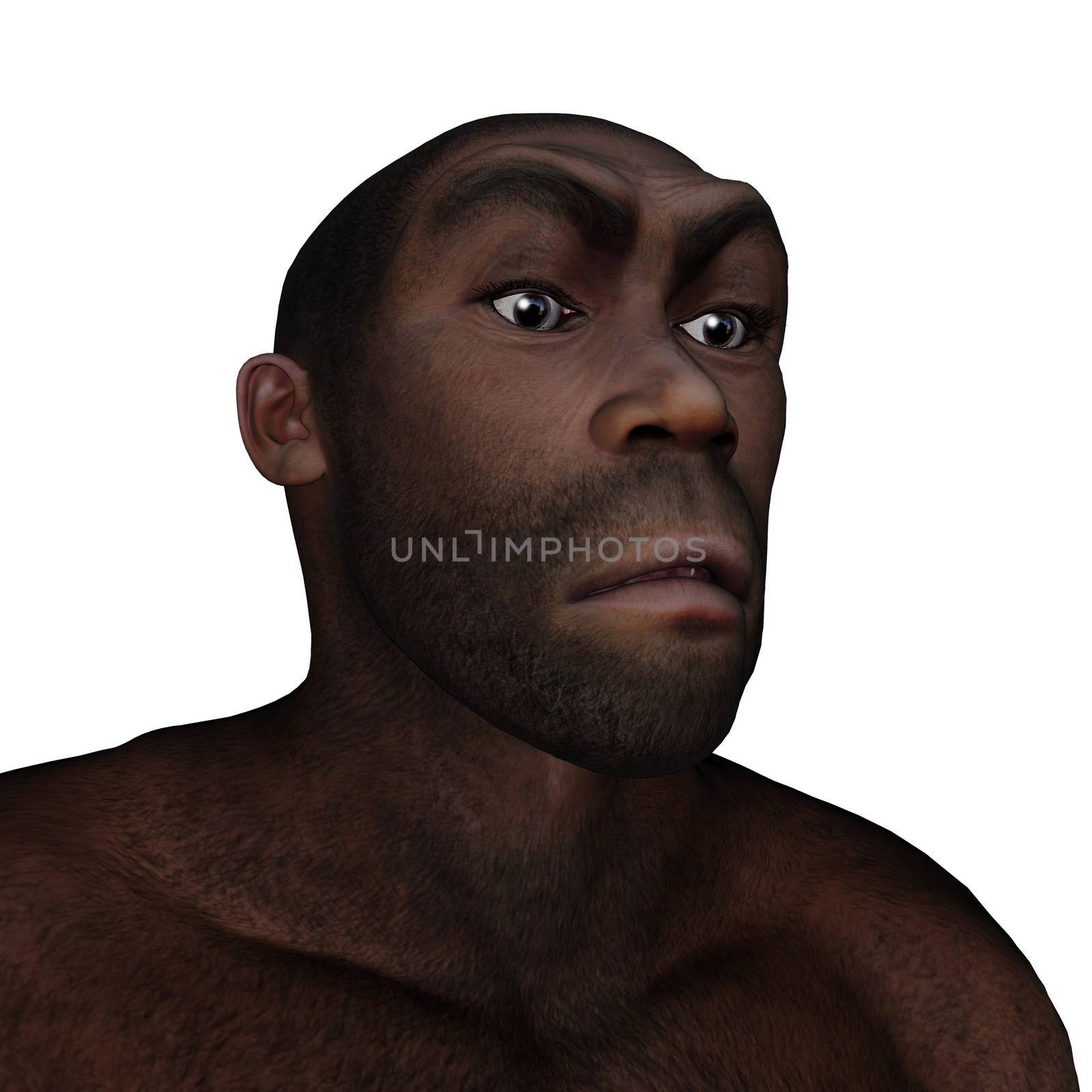 Male homo erectus angry portrait isolated in white background - 3D render
