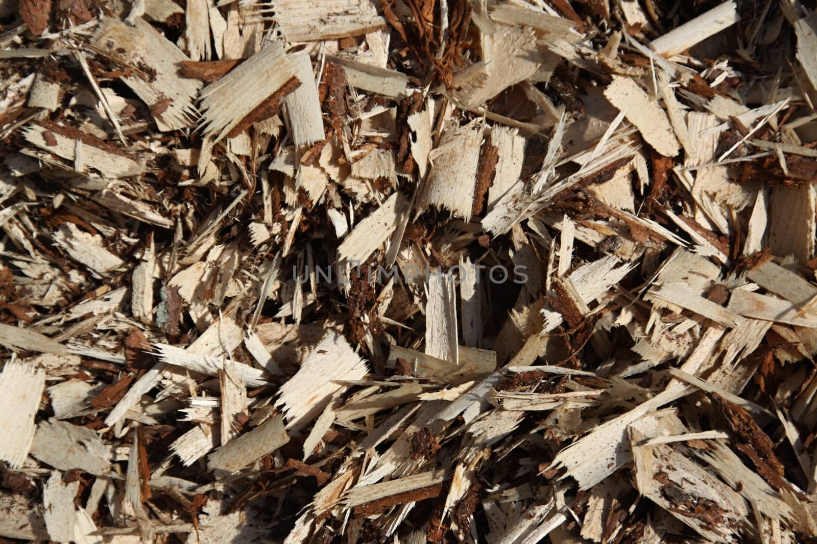 wood chips background