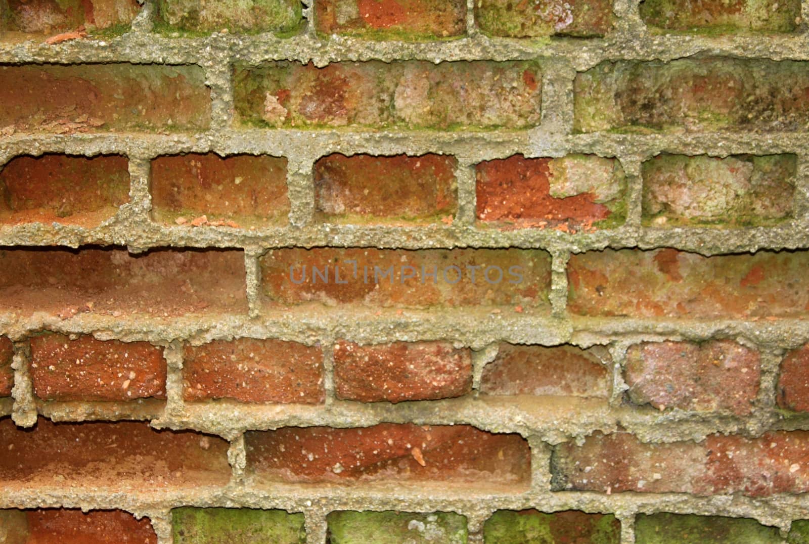Background of red brick wall pattern texture with moss