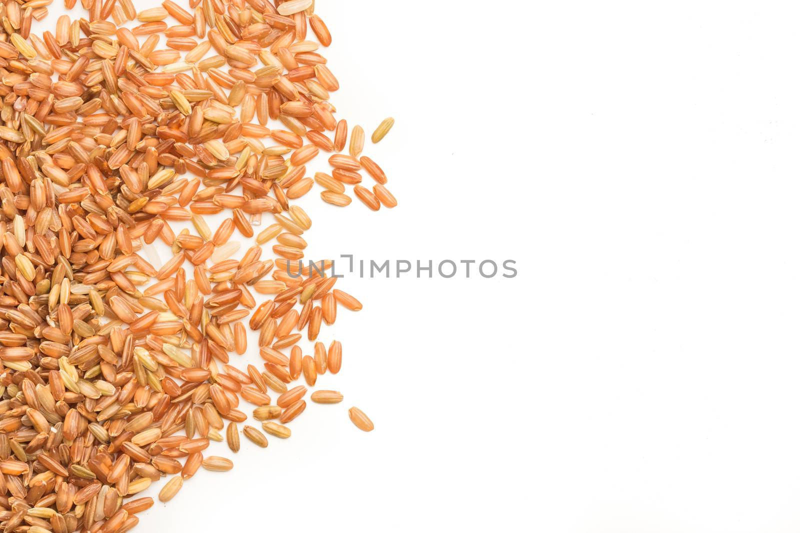 brown rice isolated on white with copy space