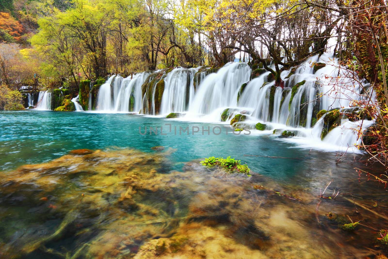 Arrow bamboo waterfall jiuzhaigou scenic in Sichuan, China