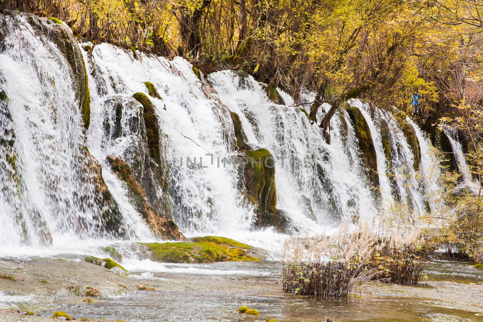 Arrow bamboo waterfall jiuzhaigou scenic by happystock