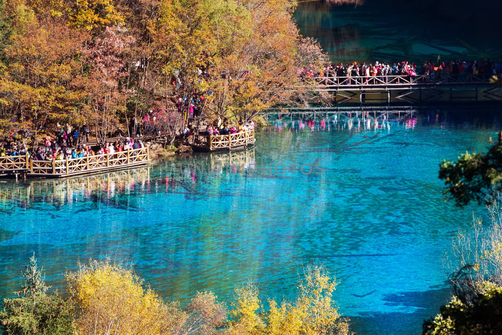 Jiuzhaigou national park, Five Flower Lake is lake in Sichuan, China