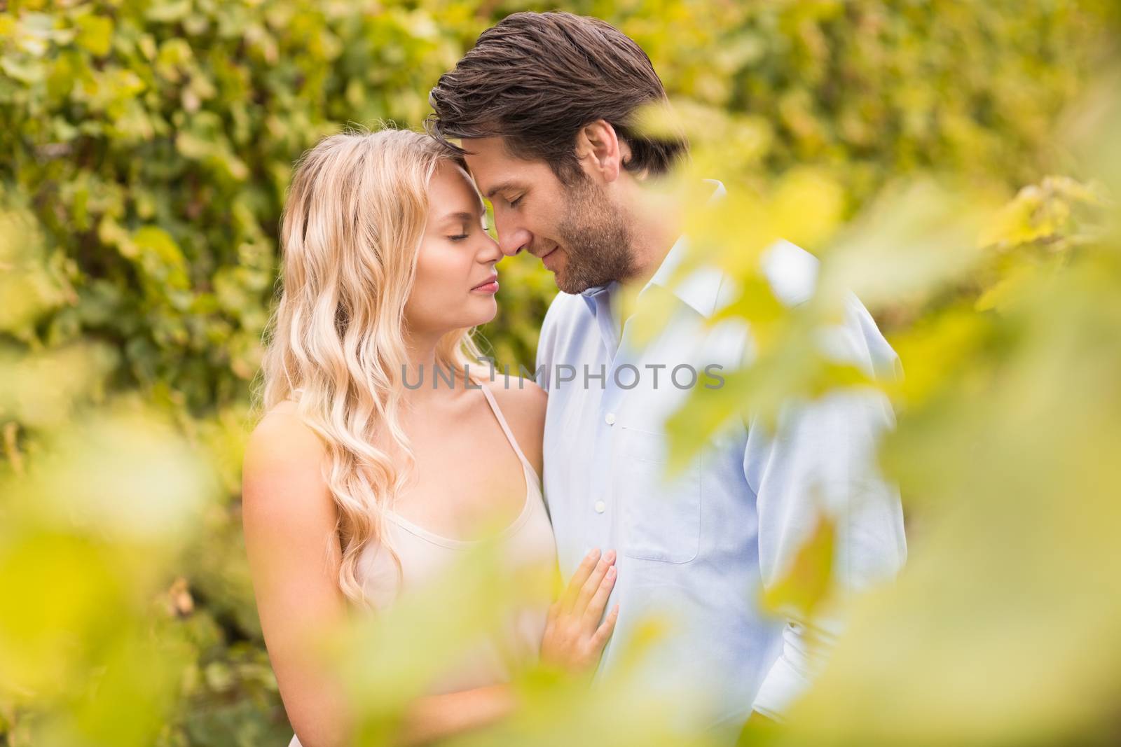 Young romantic couple embracing each other in the grape fiels