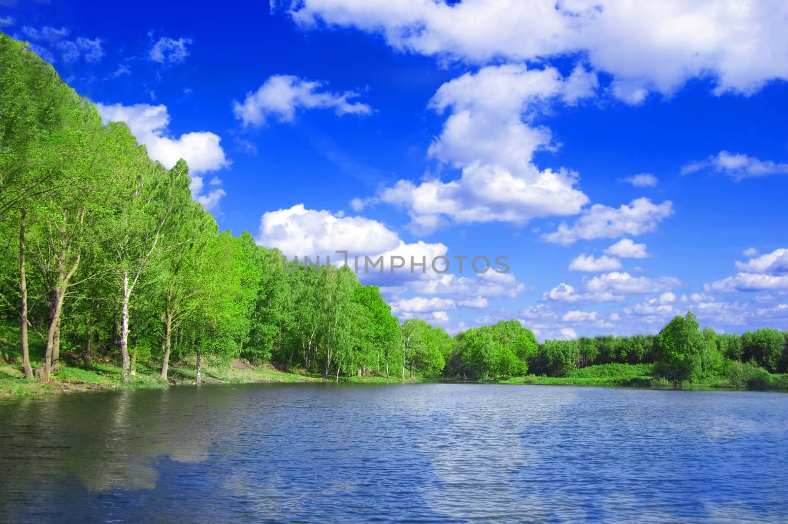 Lake nad forest conceptual image. View of the lake near the forest in summer.