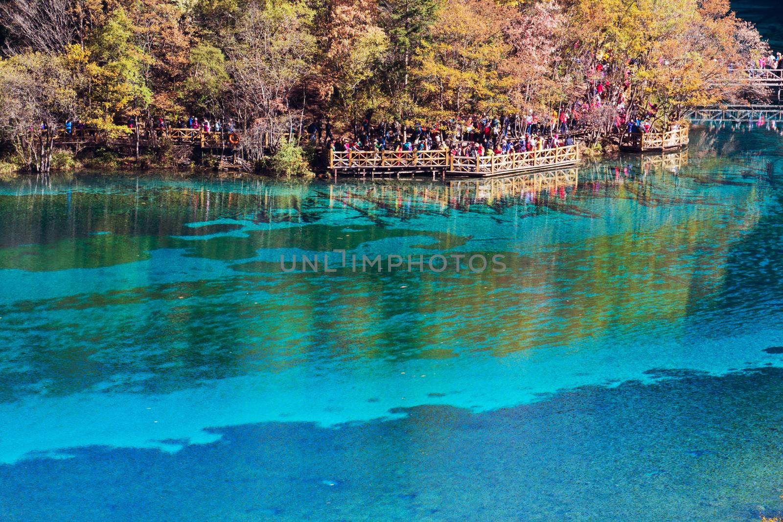 Five Flower Lake is lake in Jiuzhaigou by happystock