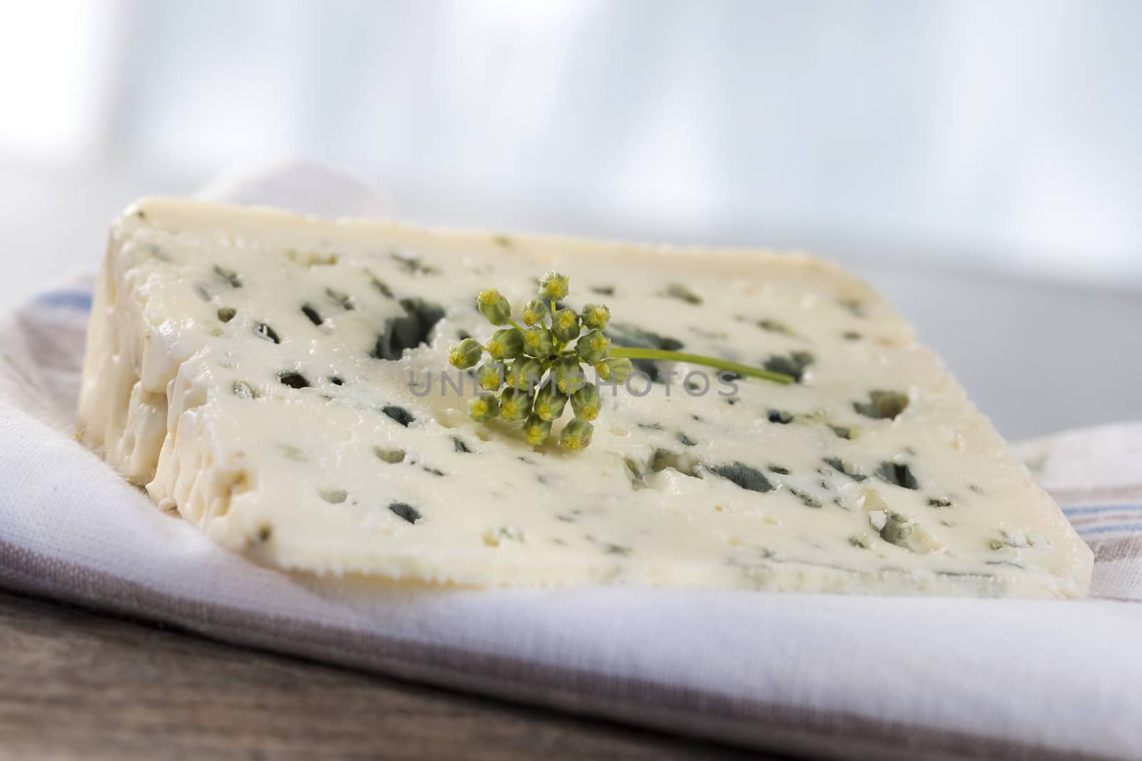 Roquefort soft blue french regional cheese