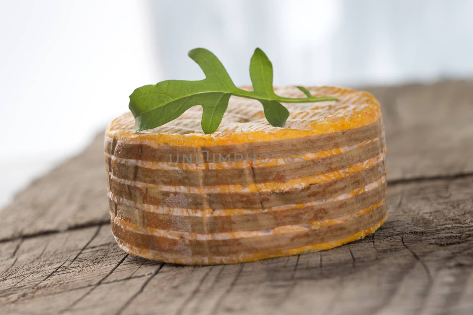 French regional Livarot Cheese from Normandy