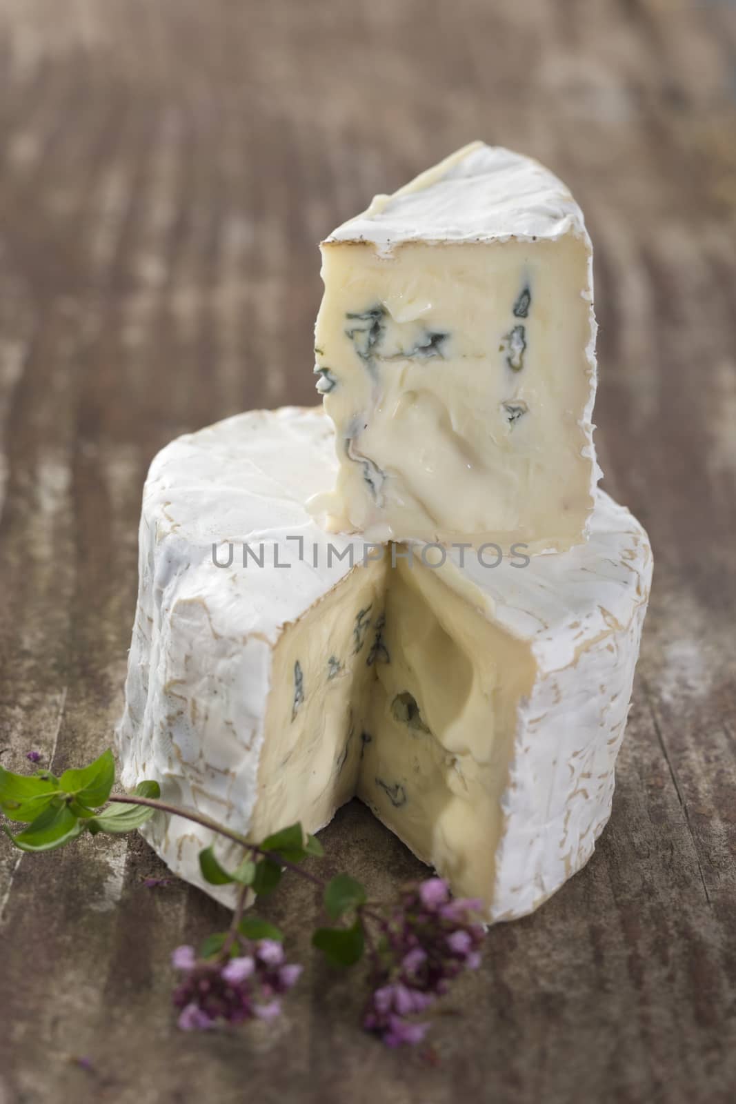 french musty blue cheese from Auvergne by JPC-PROD