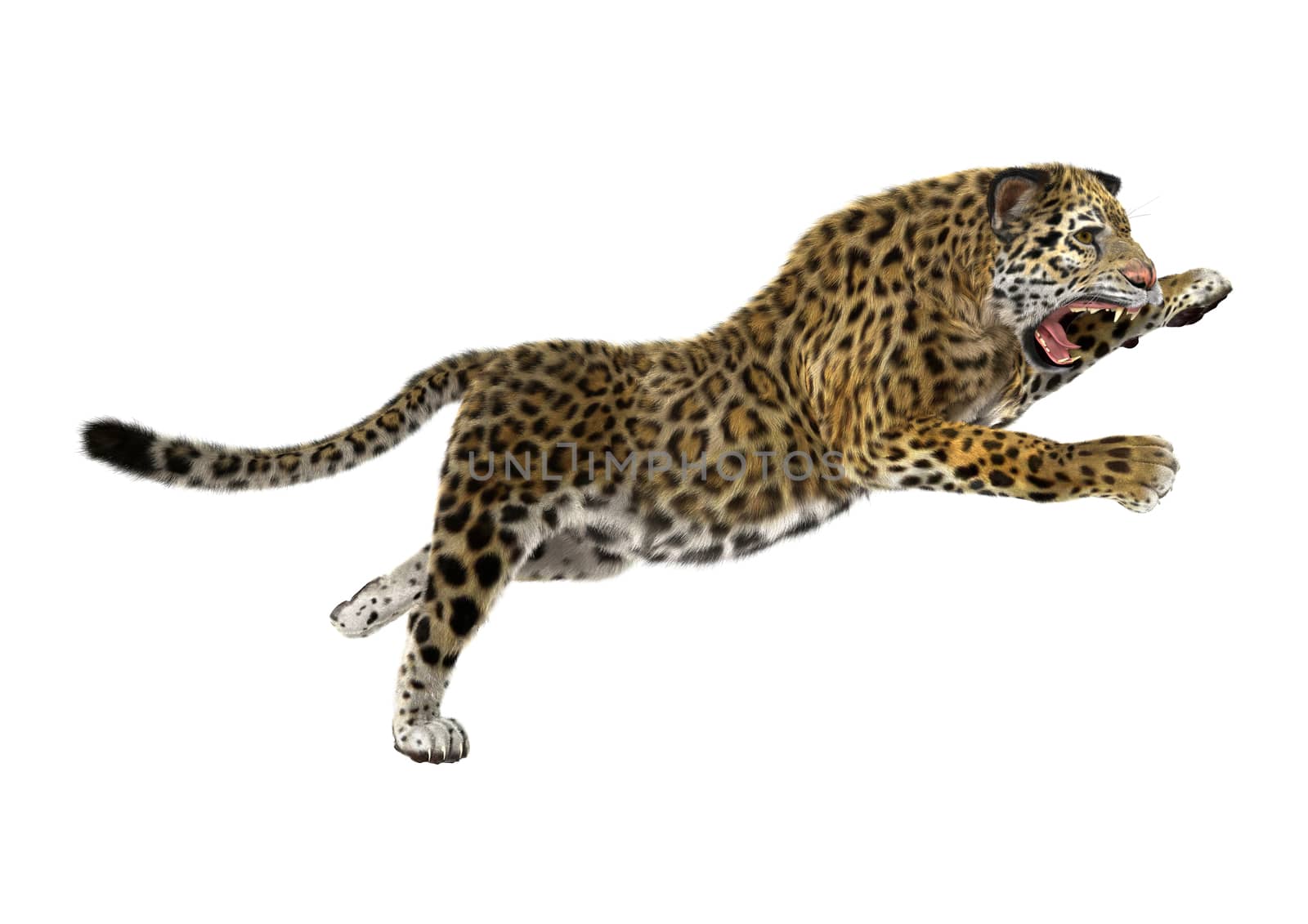 3D digital render of a big cat jaguar jumping isolated on white background