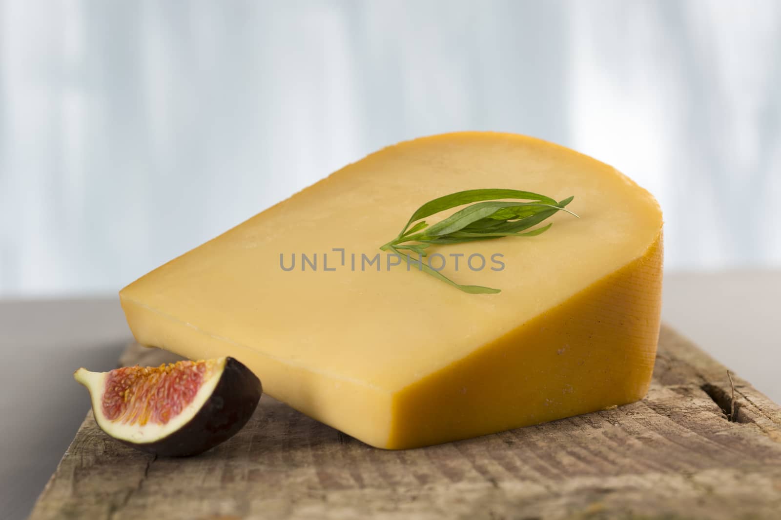 Traditional Hollander cheese -  Gouda