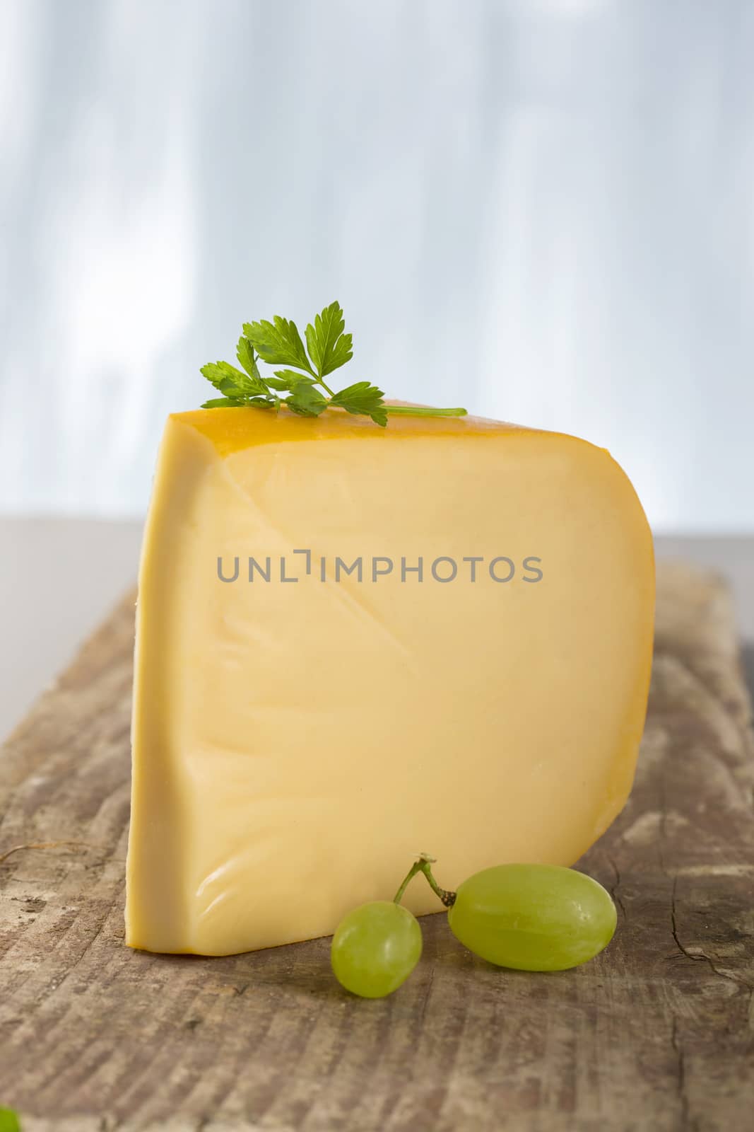 Hollander cheese - Portion  of Gouda by JPC-PROD