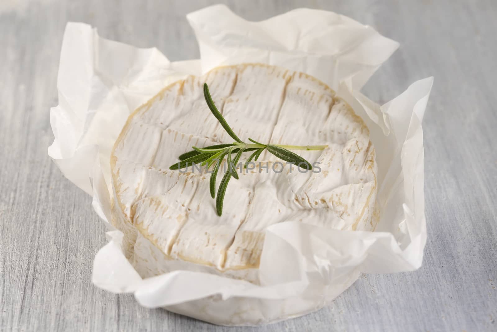 French Camembert cheese from Normandy