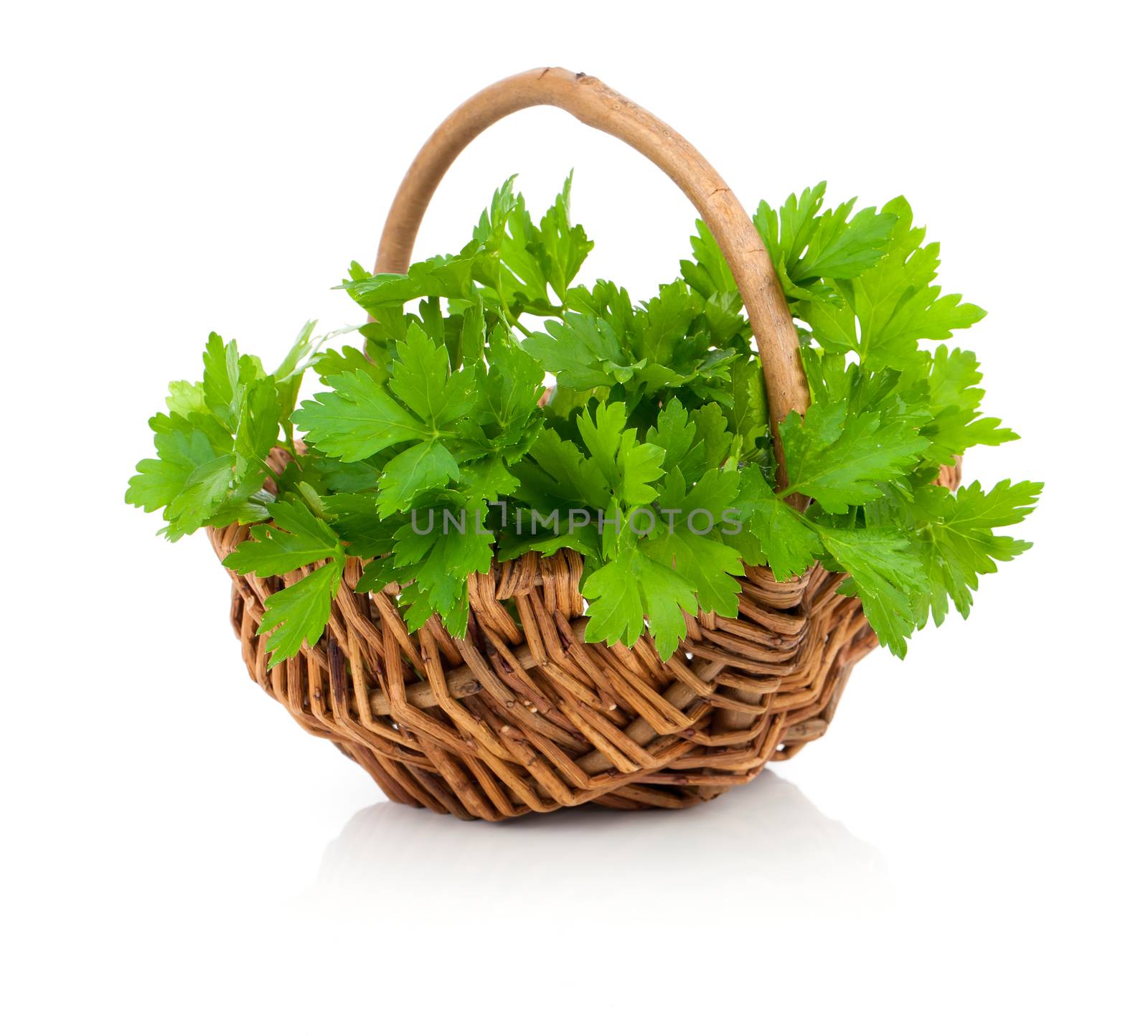 Bundle of fresh parsley in a wicker basket, on a white background