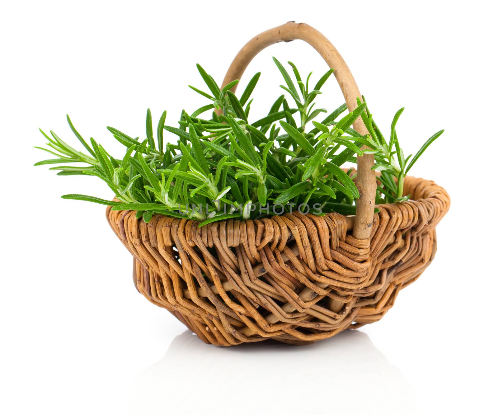 Bundle of fresh rosemary in a wicker basket, on a white background