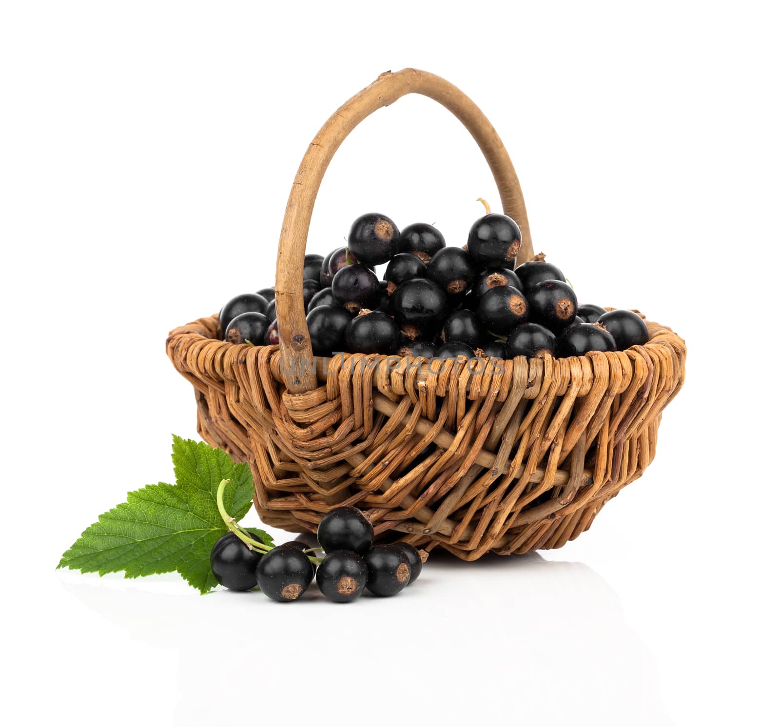 black currant in a wicker basket, on a white background by motorolka