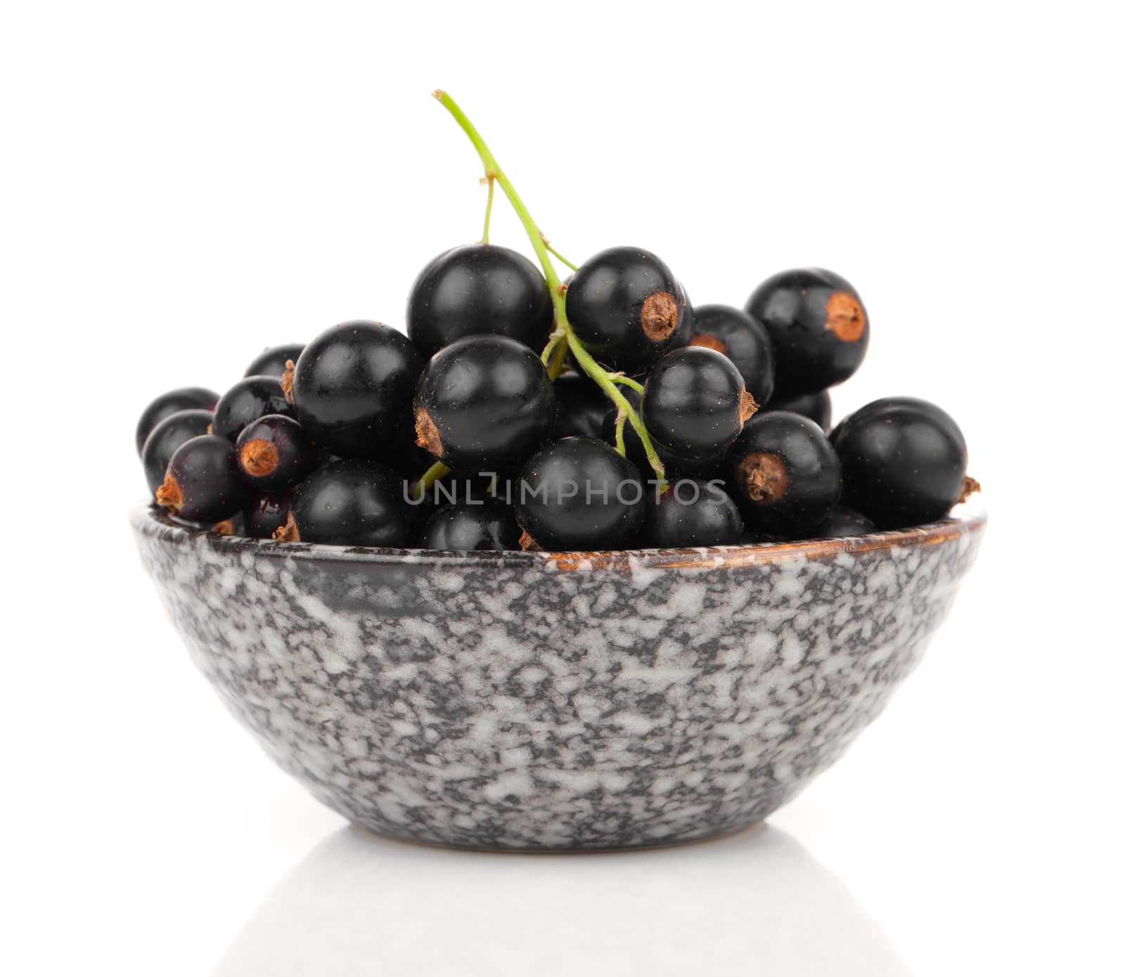 black currant in a bowl, on a white background